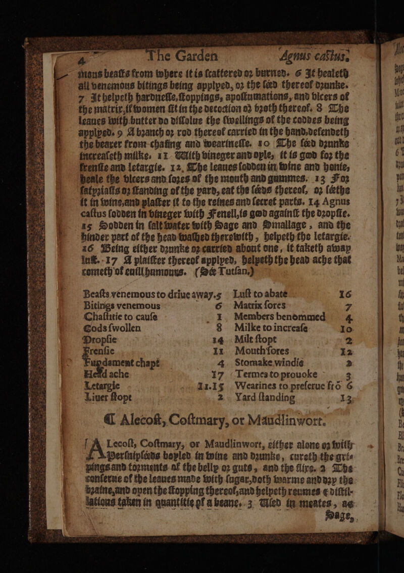 F The Garden Agnus caSius. maus beaſts from where it is (caffered 02 burned. 6 It bealeth All venemous bitings being applped, 02 the fed thereof dzunke. 7 It helpelh hardneſſe, Toppings, apoſtumations, and bicers of the matrix it women ſtt in the decoction os bꝛoth thereof. 8 The leaues with butter do diſlolue the lwellings of the coddes being applped. 9 A bꝛanch oꝛ rod theveot carried in the hand dekendeth the bearer krom chaling and wearineſſe. 10 The fed dzunke fnerealsth milke. 11 Mlith bineger and oyle, it is god fo2 the frenffe and letargie. 12, The leaues lodden in wine and honie, beale the vlcers and ſozes of the mouth and gummes. 13 Foz ſatyꝛiaſts 02 ſtanding of the pard, eat the fens thereof, oz ſethe it in wine, and plaſter it to the reines and lecret parts. 14 Agnus caſtus ſodden in bineger with Fenell, is god againſt the dꝛopſte. as Sodden in lalt water with Sage and Dmallage, and the Hinder part of the head waſhed therewith, belpeth the letargie. 16 Being either dꝛunke oz carried about one, it taketh away in®.-17 A plaiſter thereof applped, helpeth the bead ache that cometh of euill humours. (Ser Tutſan.) * e nh gs a r ate 2 PRINTS tte eee, ym 8 may . b rT Pee $2 edad 4 8 3 Me eae e e 7 . Beaſts venemous to driue away. Luſt to abate 16 Bitings venemous 6 &gt; Matrix ſores Chatftitie to cauſe 1 Members benommed Gods ſwollen 8 Milke to increaſe Ptopſie 14 Milt ſtopt Fand Iz. Mouth ſores a gdament chapt 4. Stomake windie Hedd ache 17 Termes to prouoke 3 Letargie 11.15 Wearines to preſerue fro 6 Liver Rope 2 Yard {landing 41 @ Alecoſt, Coftmary, or Maudlinwort. ~*~ r 0 vy * = ls, a rr ee *