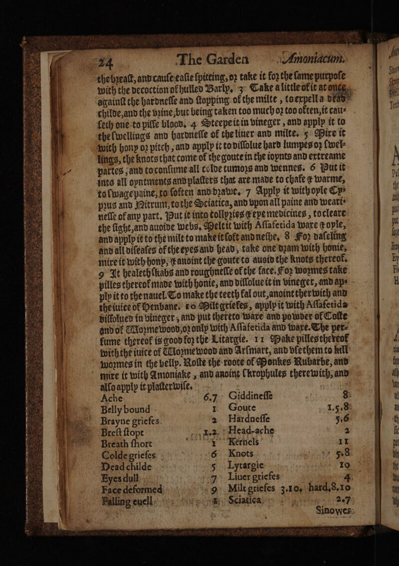 * Mh 4 at S — ee ea. The Garden .Amontacum. the bꝛealt, and caule ealte ſpitting, oz take it koꝛ the lame purpoſe with the decoction of hulled Barly, 3 Cake a little okit at ones againlt the hardnelle and Hopping ok the milte , to erpella dens childe, and the vꝛine, but being taken foo much oz too okten, it cau⸗ leth one to pille blood. 4 Steepe it in vineger , and apply it to thelwellings and hardneſſle of the liuer and milte. 5° Mire it with hony oꝛ pitch, and apply it to diſſolue hard lumpes oꝛ wel lings, che knots that come of the goute in the ioynts and extreame partes, and to conſume all colde tumozs and wennes. 6 Put it into all oyntments and platters that are made to chafe t warme, to lwage paine, to ſoften and dꝛawe. / Apply it with oyle Cy⸗ pꝛus and Mitrum, to the Stiatica, and vpon all paine and weari⸗ nelle of anp part. Put it into tollyꝛies &amp; exe medicines , tocleare the light, and auoide webs, Meltit with Aſſafetida ware &amp; oyle, and applp it to the milt to make it lolt and neſhe. 8 Foz daſeling and all diſeales of the eyes and head, take one dꝛam with honie, mixe it with hony, K anoint the goute to ausid the knots thereof, 9 It healechCkabs and roughneſle of the face, Foꝛ woꝛmes take piles thereof made with honie, and dillolue it in vineger, and ape - pip it to the nauel. To make the teeth kal out, anoint ther with and the iuice ok Denbane. ro Milt griekes, apply it with Aſſafetids diltolued in bineger, and put thereto waxe and powder of Coffe and ok TMozmewood oz only with Aſſafetida and ware. The per⸗ fume thereof is good lob the Litargie. 11 Manke pilles thereok with the iuice of Tome wood and Arlmart, and vlethem to kill wozmes in the belly. Roſte the roote of Monkes Rubarbe, and mire it with Amoniake, and anoint (krophules therewith, and eos ‘eth * FOL „ . ike es ccd ay 5 &lt;p} e ag 3 Bs eared. 8 allo apply it plaſterwiſfe. | Ache 6.7 Giddineſſe 10 8: Belly bound | 1 Sone 1.5.8 Brayne griefes. 2 Hardneſſe 516. VBreſt ſtopt 1.2 Head-ache 2 Breath ſhort n Kernels 11 Colde griefs 6 Knots itt 8 Dead childe Luutargie 10 Eyes dull » Liuer griefes | 4. Facedeformed: 9 Mlilt gtiefes 3.10, hard,8.10 Falling euel! 1 Sciaticaa 2.7 . * 1 Sinowes Uy 17 Sp