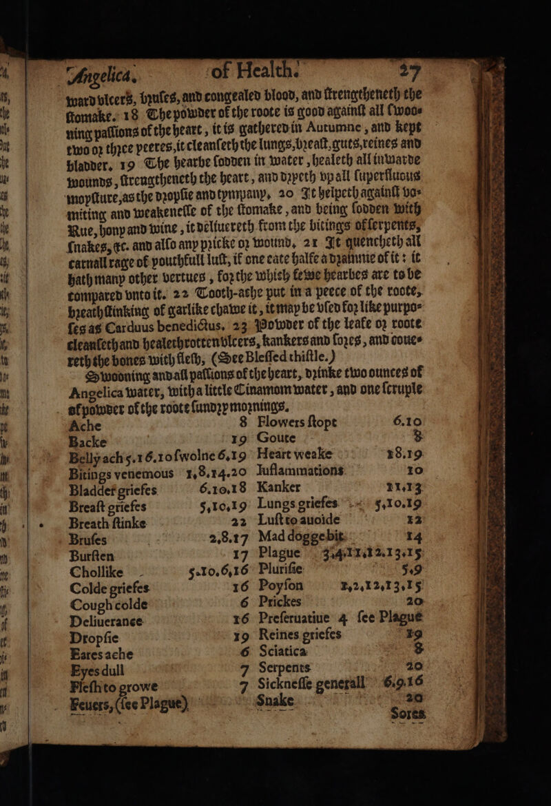 ward vlcers, bꝛules, and congealed blood, and trengtheneth the Gomake. 18 The powder of the roote is good againſt all {woos ning pallions of the heart, it is gathered in Autumne and kept two oꝛ thꝛee peeres, it cleanſeth the lungs, bꝛealt guts, reines and pladder. 19 The hearbe ſadden in water, healeth all inwarde wounds, ſtrengtheneth che heart, and dzpeth vp all ſuperfluous miting and weakenelle ok the ſtomake and being ſodden with Rue, hony and wine, it delfuereth from the bitings of ſerpents, {nakes, €c. and alſo any pꝛicke oz wound. 21 It quencheth all catnall rage of pouthkull tut, ik one cate halfe a dꝛamnie ol it: it Hath many other vertues, forthe which kewe hearbes are to be compared vnto it. 22 Tooth- ache put in a peece of the roote, {es as Carduus benedictus, 23 Powder of the leate oz roote cleanfethand healecbrottenblcers, kankers and loꝛes, and couce reththe bones with fleth, (See Bleffed thiftle.) Swooning and all pallions of the heart, dꝛinke two ounces of Angelica water, witha little Cinamom water, and one ſcruple Ache Flowers ſtopt 6.10 Backe 19 Goute 8 Belly ach 5. 1 6. 10 ſwolne 6.19 Heart weake n 8.19 Breath ſtinke 22 Luſt to auoide 12 Bruſes : 2.8.17 Mad dogge bit 14 Burſten 17 Plague 3.4J1.12.13.15 Chollike 5.10. 6,16 Pluriſie 5.9 Colde griefes 16 Poyſon 1.2. 12,1 3,15 Cough colde 6 Prickes 20 Deliuerance 16 Preſeruatiue 4 ſee Plague Dropſie 19 Reines griefes 19 Eares ache 6 Sciatica ee Eyes dull | 7 Serpents a 20 Ficfhto growe 7 Sickneſſe generall 6.9.16 Feuers, (ce Plague) bak Sores 7 — 8 . . 7 — 1 vats Pon wert TR e 4 — r n * 2ST: ——— — —— 1 1 ö 8 2 7 * Ct 128 — 5 1 Sy 8 e 5 &gt; 4 — — 8 the — — r OD ee PP vs * =e — igi as ee Se a Al 3 5 hn ers et Ba” Ae