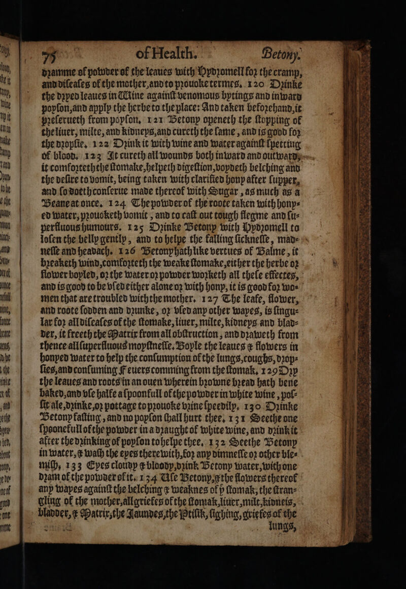 * of Health. Beton). dꝛamme ol powder of che leaues with Hydꝛomell for the cramp, and diſeaſes of the mother, and to pꝛouoke termes. 120 Dzinke the dꝛyed leaues in Mine againſt venomous bytings and in ward poyſon, and apply the herbe to the place: And taken befozehand it pꝛelerueth from poyſon. 121 Betonp openeth the Topping of the liuer, milte, and kidneys, and cureth the lame, and is good for che dꝛopſie. 122 Dꝛink it with wine and water againſt lpetting of blood. 123 It cureth all wounds both in ward and outward. it comfozteththe ſtomalte, helpeth digeſlion, voydeth belching and the deſire to vomit, being taken with clarified hony after lupper, and ſo doethconſerue made thereof with Sugar, as much as a Beane at once. 124 The powder of the roote taken with hony⸗ ed water, pꝛouoketh vomit, and to caſt out tough flegme and ſu⸗ perfluous humours. 125 Dꝛinke Betonp with Ppdꝛomell to loſen the belly gently, and to helpe the kalling ſicknelle, mad⸗ nelle and headach. 126 Betonp hath like vertues of Balme, iet 0 bꝛeaketh wind, comkozteth the weake ſtomake, either the herbe oꝛ ee flower boyled, oꝛ the water oz powder wworketh all hele effectes, i and is good to be vſed either alone oꝛ with hony, it is good fo2 wo⸗ men that are troubled withthe mother. 127 The leafe, flower, and roote ſodden and dꝛunke, oꝛ vled any other wapes, is ſingu⸗ lar for all diſeaſes of the ſtomake, liner, milte, kidneys and blad⸗ der, it freeth the Matrix from all obſtruction, and dꝛaweth from thence all ſuperſluous moyſtnelle. Boyle the leaues x flowers in honyed water to help the conſumption of the lungs, coughs, dꝛop⸗ ſies, and conſuming Feuers comming from the fomak, 129 Dꝛy the leaues and roots in an ouen wherein bꝛowne bꝛead hath bene baked, and vle halfe a ſpoonfull of the powder in white wine, pol⸗ fir ale, dzinke, oꝛ pottage to pꝛouoke vꝛine ſpeedily. 130 Dzinke Betonp kaſting, and no poylon ſhall hurt thee, 131 Seethe one ſpoonekullofthe powder in a dꝛaught ol white wine, and dꝛink it after the dꝛinking of poyſon tohelpe thee. 132 Seethe Betony in water, wach the eyes there with, fo any dimnelle oz other ble⸗ mich, 133 Eyes cloud c bloody, dzink Betony water, with one dꝛam ok the powder of it. 134 Cle Beton, the flowers thereof any Mapes again the belching ¢ weaknes of p ſtkomak, the ſtran⸗ Gling ok the mother, allgriekes ol the ſtomak, liuer, milt, kidneis, bladder, x Matrix, the Jaundeg the Ptiſik, Highing, gvietes of the „ 2 18 oo ungs, . — iro 4 Pern 4 x 38 ＋ = r 2 ee —— 8 we 8 * — tain: —— = ores yn oe 7 = aS Se * 3 7 oh =A ts ee =m 5 &lt; — 5 n e r ‘ 7 As i r 3 ¢ uae AY See st tN, gh Soot eee nr — 5 . „ . A ad a » * r — — —— ̃ :; . ̃ — , , . ~ ——