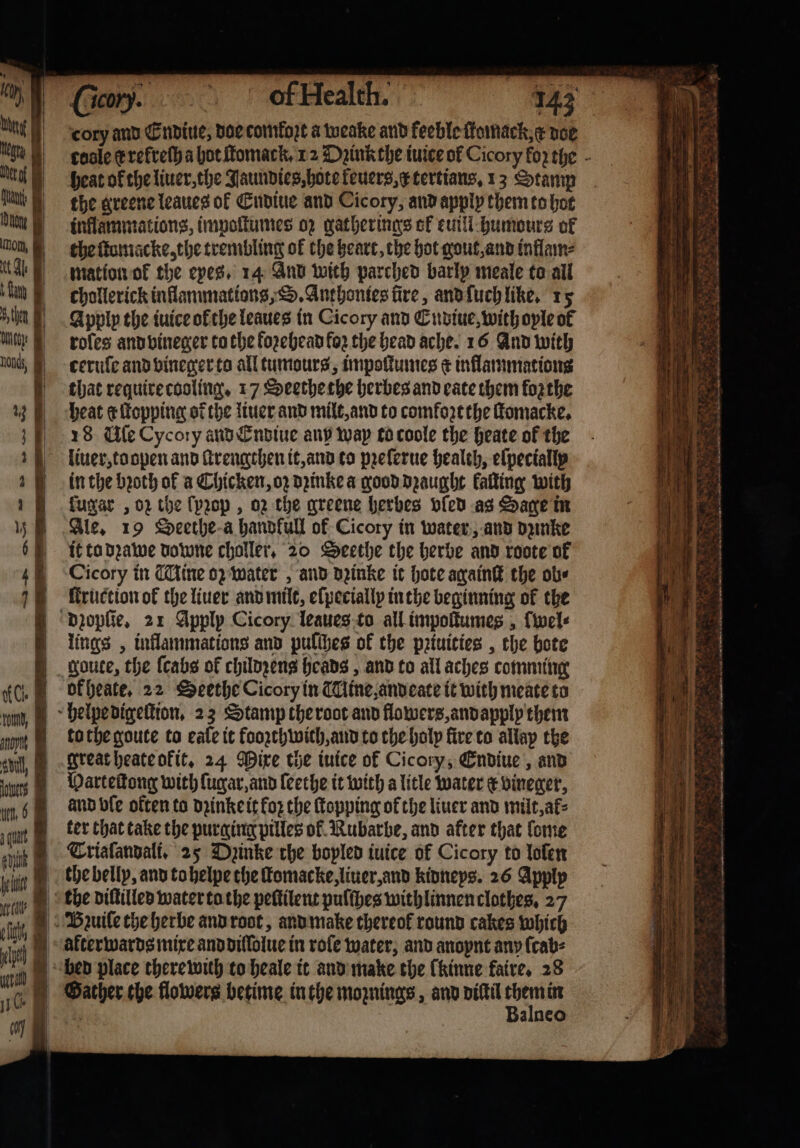 man Un Bra t dun iran, t Al i 5 then | tc Loads, | | 0 | | | ‘ H. rout, anon aul, lors uot, 6 J squat en Kun ae | efit, a cl iil le * ‘cory and Endiue, doe comkoꝛt a weake and feeble fomack,¢ doe cose ¢refteth a hot ſtomack. 12 Dzinkthe iuice ol Cicory ko the heat ok the liuer, the Jaundies, hote keuers, tertians. 13 Stamp the greene leaues of Endiue and Cicory, and apply them to hot inflammations, impoſtumes oz gatherings ok euill humourg of the ſtamacke, the trembling of the heart, the hot gout, and inflame mation ok the eyes. 14 And with parched barly meale to all chollerick inflammations, S. Anthontes fire, and ſuch like. 15 Apply the iuice ofthe leaues in Cicory and Endiue, with oyle ol roles and vineger tothe koꝛehead for the head ache. 16 And with ceruſe and vineger to all tumours, impoſtumes &amp; inflammations that require cooling. 17 Seethe the herbes and cate them forthe heat e ſtopping or the liuer and milt, and to comkozt the ſtomacke. 18 Cle Cycory and Endiue any wap to coole the heate of the liuer, to open and ſtrengthen it, and to pꝛeſerue health, elpectallp in the bꝛoth of a Chicken, oꝛ dꝛinke a good dꝛaught kaſting with fuyar , oz the (prop , oz the greene herbes vſed as Sage in Ale. 19 Seethe a handfull of Cicory in water, and dzinke it to dꝛawe downe choller, 20 Seethe the herbe and roote of Cicory in Mine or water, and dꝛinke it hote againſt the ob⸗ ſtruction of the liner and milt, elpecially in the beginning of the lings, inflammations and pulches of the pꝛiuities, the bote goute, the {cabs of childꝛens heads, and to all aches comming ok heate. 22 Seethe Cicory in Hine, and eate it with meate to to the goute to eafe it fooꝛthwith, and to the holy fire to allay the great heate okit. 24 Mixe the iuice of Cicory, Endiue, and Varteſtong with ſugar, and leethe it with a litle water e vineger, and ble okten to dꝛinke it for the ſtopping ofthe liuer and milt, at⸗ ter that take the purging pilles ol Rubarbe, and after that ſome Trialandali. 25 Dpinke the bopled iuice of Cicory to loſen afterwards mixe and dilſolue in role water, and anoynt any ſcab⸗ Gather the flowers betime in the moznings, and diſtil ee alneo