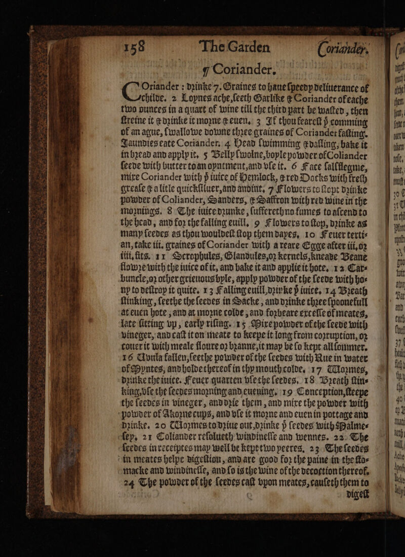 + 158 The Garden Coriander, : F Coriander. b Otiander: dꝛinke 7. Graines to haue ſpeedy deliuerance of childe. 2 Loynes ache, ſeeth Garlike &amp; Coriander ofeache two vunces in a quart of wine till the third part be waſted, then ſtreine it c dʒinke it moꝛne c euen. 3 Ik thou keareſt p comming ok an ague, wallowe downe thzee graines of Coriander kaſting. Jaundies eate Coriander, 4 Dead lwimming c dalling, bake it in bꝛead and apply it. 5 Belly ſwolne, boyle powder ol Coliander ſeede with butter to an oyntment, and vle it. 6 Face ſallllegme, mixe Coriander with p iuice of Hemlock, c red Docks with kreſh greaſe ¢ alitle quickſiluer, and andint. 7 Flowers to lope dꝛinke powder of Coliander, Sanders, c Saftron with red wine in the moznings. 8 The iuice dꝛunke, ſufferethno fumes to aſcend to the head, and for the falling euill. 9 Flowers to ſtop, dzinke as many ſeedes as thou wouldeſt ſtop them dayes. 10 Feuer terti⸗ an, take tit. graines of Coriander with a reare Egge after iii. oꝛ iii. tts. 11 Scrophules, Glandules, oz kernels, kneade Beane flowze with the iuice ok it, and bake it and applie it hote. 12 Car⸗ buncle, oz other grieuous byle, apply powder of the ſeede with has np to deſtroy it quite. 13 Falling euill, dꝛinke p iuice. 14 Breath ſtinking, feethe the ſeedes in Sacke, and dzinke thꝛee ſpoonekull at euen hote, and at moꝛne colde, and foꝛbeare exceſle of meates, late fitting vp, early riling. 15 Mixe powder of the ſeede with vineger, and caſt it on meate to keepe it long from copruption, oz cotter it with meale floure oꝛ bꝛanne, it may be ſo kept all lommer. 16 Uvula fallen, ſeethe powder of the leedes with Rue in water of Myntes, and holde thereok in thy mouthcolde. 17 Mozmes, dzinke the iuice. Feuer quarten ble the feedes, 18 Wreath ſtin⸗ king, vſe the leedes mogning and euening. 19 Conception, ſteepe macke and windinelle, and ſo is the wine ofthe decoction thereof. 24 The powder of the ſeedes caſt vpon meates, cauſeth them to 1100 © digelt ad