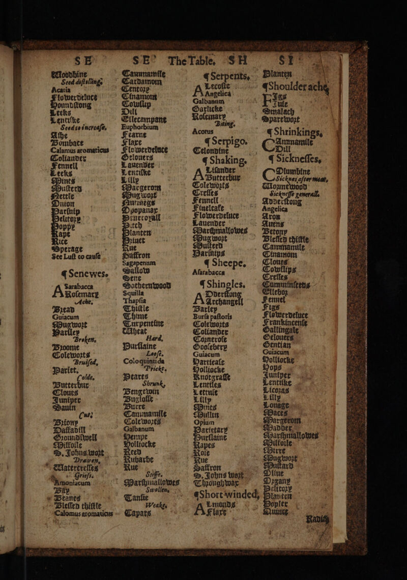 — — — SE Uoodbine Seed diſt lunga Acatia ee Leeks Lentiſke Seed to increaſi. Calamus aromaticus Coltander Leeks ints uſterd ettle Dnion arthip elitorp oppy ape Rice Sperage See Luft co eauſe J Senewese Je Role mark Coleworts 15 Par Colle. Butterbur Cloues Juniper Dauin Cute Briony Daffadill Gzoundlwell Milkoile D. Johns wozt rawen, . rie. eum Bleſſen thinte Tammamile Cobollup Dill Ellecampane Euphorbium F peaks Flax F lewerdelutt Gelouers Lauender Lilly Made ug woꝛt Nutmegs @ yopanay ae Sene Prickt. cares of Shrunk, Bengewm Bugloſſe Burre Cammainile Cole woꝛts Galbanum Hempe olliocke Swoll len, . SH J Serpents,. Lecoſte Ay Angelica Galbanam Garlicke Noſemarp Bring, Acorus q Serpigo. Kune g Shaking, Liſander Butterbur Cole woꝛts Creſſes Fennell Fiuelcafe Flowerdeluce Lauender Marchmallowes Mug wort ulterd Warinips q Sheepe, Afarabacca J Shingles. A on . U Barley Burfa paſtoris Cole woꝛts Coliander Cojynerole Sooſebery Guiacum Warticale Holliocke Rnotgraſſe Lentiles Lettui¢e Lilly Mints Mullin Opium pene urflaine Rapes Role Saftron S. Johns wart Through war Flare Planten a q Shrinkings, CDi q Sickneffes, C Dlumbine Sicknes after maat, Mount wood Sickne @ generale Angelica Aron Betony Bleſſed thiſtle Kin loues a Creſles Garmatiterns Elleboz Aa Kigs Flowerdeluce Frankincenſe Gallingale Gelouers Gentian Guiacum Molliocke - ops Juniper Lentiſkt Ta illx pre Maces Margerom adder. * Marſhmallowes loile Mꝛganp Aitoz? lanten opler Quuuce