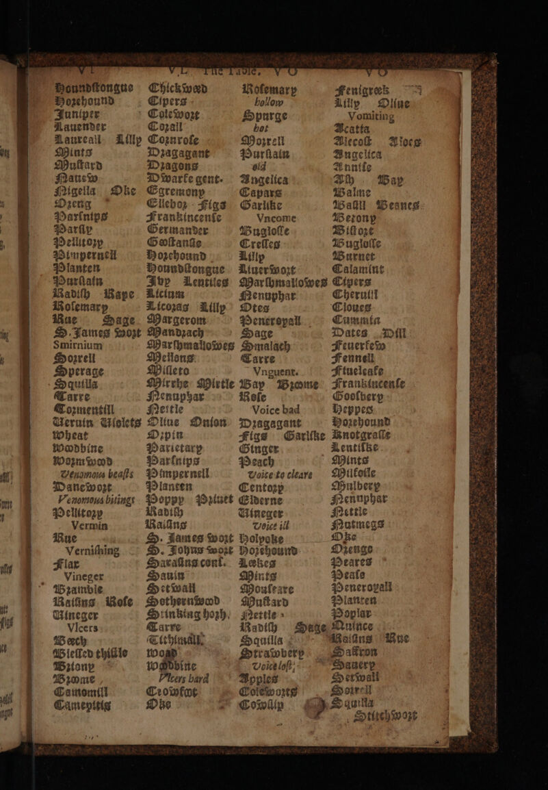 — — ates SOD — — ee n“ N U war: 1 4 W me Houndftongnue Chickiweed i ofemar p Fenigrek Hozehound Cipers hollom dilly Olliue Juniper Cole woꝛt Hpurge Vomiting Lauender Cozall hot Acatta Aaureall Lillp Coznrofe Morrell Alecoſt Bioe Mints Dꝛagagant Purſlaln Angelica Muſtard Dzagons oid Anntie Nause D warke gent. Angelica Bh . Wap Migeila. Oke Egremonp Capare Walme Ozeng Elleboz - Figs Garlike Walill Wesnes Marlnips Frankincenſe Vncome Wetonp Marſly Germander Wugloſle Biſtoꝛt Mellitozp Gooſtanſſe Crelleg Bugloſle Wimpernell Hozehound Aillp Wurnet Planten Houndſtongue AtuerWwort Calamint Darla Soy Lentiles Mar ſhmallowes Cipers Radilh Rape Atcium Henuphar 8 Bolemary Ticozag Lilly Otes Cioues Bue Sage Margerom aa > Cammta S. James Wozt Mandzach Sage Dates Dill Smirnium re eee Smalach Feuerfe Sperage Mille to Vnguent. Ftueleake Squilla Mirrhe Mlirtle Wap Biome Franktucenſe Tarre Nenuphar iRefe Gooſberp CTozmentill Nettie Voice bad Heppes Ueruin Miolets Oltue Onion Dꝛagagant Mozehound Wheat Oz pin Figs Garitke Rnotgraſſe Woodbine Parictarp Ginger Lentiſte Woꝛm wood Parſnips Peach Mints Denomous beats Mimper nell Voice to clear: Milkoile Danewozt Planten Centoꝛp Mulberp Venomous bitingt Rab Pziuet 1 Nennphar Pellitoꝛy Radich Wineger Settle Vermin Raiing Dose ill Mutmegs Rue S. James Wort Molpoke Oke Verniſhing S. Johns wort Horehound Ozenge Flax Saraſins cenl. Leskes Peares Vineger Sauin Mints Peaſe Bzambie Setwall Moulear Peneropall Raifins Woſe Sothernisod Muſtard Planten Aineger = inktag hozh. settle » #P oplar Vicers Carre Barth Sage Nulnce Weech Tithimall. Squilla Beins Mie WGleſled thiülle wog Stradoberp . ativon | Wionp Wahdbine Voice loſt Havery Bꝛome lcers bard Apples etwall Camomill Ceowfot Colewozts Zen, ii Camenitis Ohe Coswig 1 i — — > 1 r SET