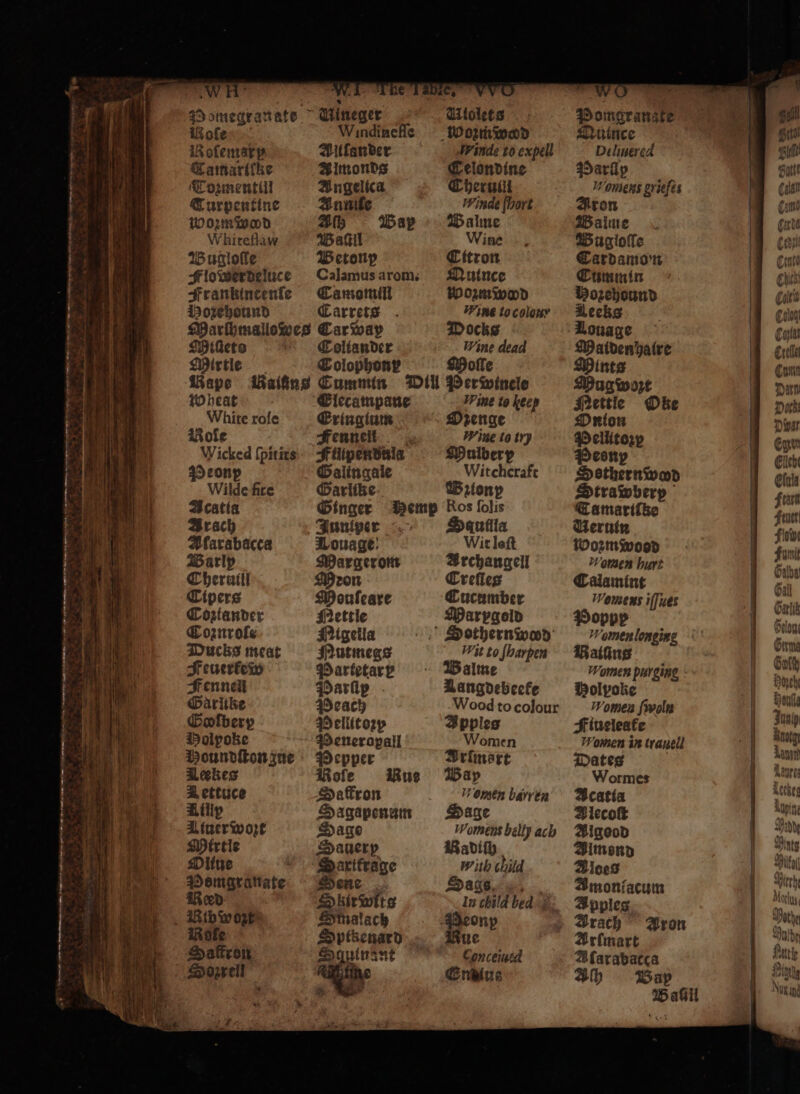 . d ³⁰·——mm A —— — a * i Ce eh : 2 0 i 7 : 2 ee * en Pomgrangte Quince Delinered Marllp Womens griefes Aron Balůÿime Wugiloſſe Cardamon Cummin Mozehound Nees Louage Maiden halre Mints Mugwozt Nomen hurt Calamint Womens iſſuet Poppe Women longing Hating Women purging Holpoke Women ſwolu Fiueleate Women in trauell Dates Wormes Acatia Alecoſt Algood Amond Aloes Amonfacum Apples Arach ron rimart Aſarabacca Sh Bap Bau