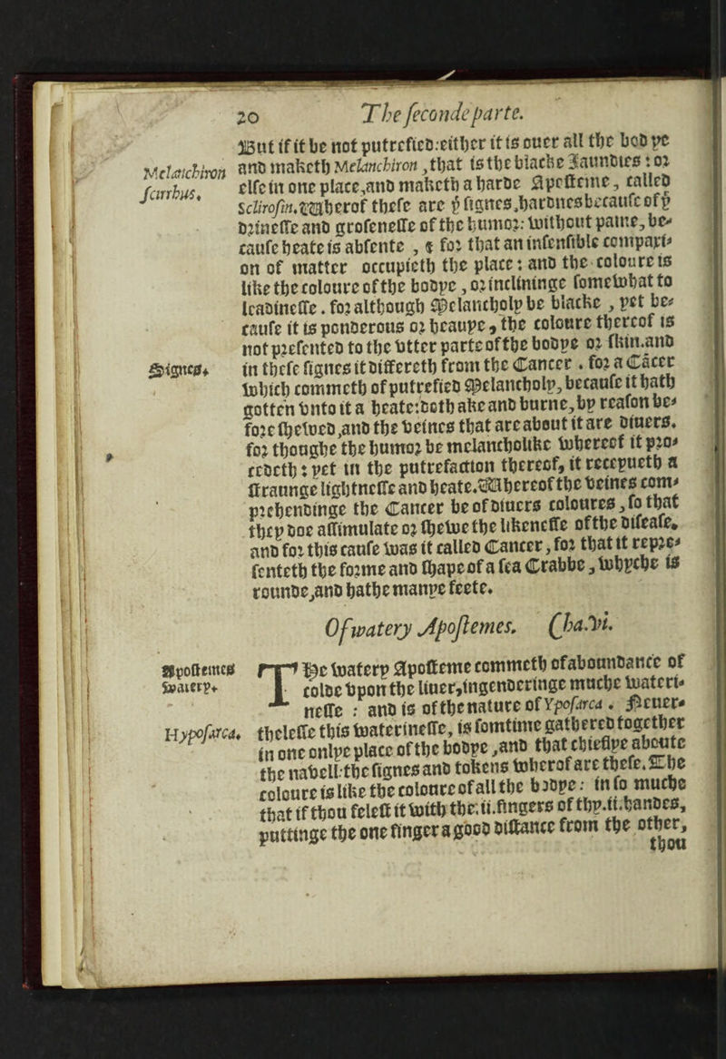 Melaichivon Scurhus, Higness Hypofarcas T he feconde parte. But if it be not putrefied:either it ts oner all the bed pe and maketh Melanchiron ,that tthe biache Saundies 02 elfetit one place,and maketh abarde Apetteme, called Sclirofin. vauberof thefe are $ fiantes barduesbecaute ofp Dineffe and qrofenelle of the bun: without paine, bee caufe heateis abfente , ¢ for that an infenfible compart: on of matter occupieth the place: and the coloureis like the coloure of the bodpe , ozinelininge fometobat to Icadinefte . foralthough Delancholp be biacke , pet bee caufe it ts ponderous 02 beaupe, the coloure thereof is not prefented to the btter parteoftbe bodpe o2 {hin.and int thefe fignes it differcth from the Cancer . for a Cacer {which commeth of putrefied Belancholy, becaufe it bath gotten dntotta beate:dothakeand burne, by reafon bes fore fhelved and the beines that are about itare divers, for thouabe the bunto2 be melancholike whereet if p20 rcdeth 3 pet in the putrefadion thereof, it recepucth a flrannge lightneffe and beate. Abereot the beines com prehendinge the Cancer be of diucrs coloures , fo that thep doe allimulate 02 Hetwe the likencfle ofthe difeale, and fo2 this caufe twas tt called Cancer , for that tt rep2e- conteth the forme and thapeofa fea Crabbe, whpcbhe ts rounde,and bathe manvye feete. Of watery Apoftemes, (ha.v1. He waterp Apofieme commeth cfaboundanicte of A coloe bpon the liner, ingenderinge miuche iwatert- nefle : and is ofthenature of Ypofarca « Penere thelefic this waterinefie, ts fomtime gathered foactber (none onlpe place of the bodpe ,and that chiefipe aboute the nabell:thefignes and tokens twherof are thefe, Zhe coloure ts like the colonre ofall the boope: info muche that tf thou felett it with the. ti.fingers of thp.ti:bandes, puttinge the one finger a good diftance from the pice ou