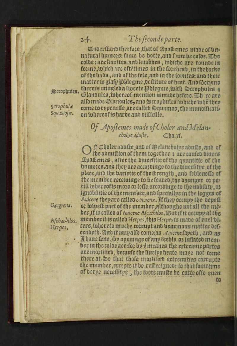 Uwerkand therfore thatof Apsemes niade of bi- natural hinno238: fome be botte and fone be colde. tobe colde: are Ruottes and huobbes , whiche are rounde itt forme, wich are oftetimes tn the forehead, in thebacke of the bhads , ad of the fete and in the tovntes: and thet matter is alafp Dhlegme,detki ifute of heat. And foectpine thereis initagleda fweete Phlegnie with Scrophules ¢ @Glandules tohercof mention ts made before.cch reare alfo made sled netitn britin ae Stat niche tobe they ophulee come torppencife are called Squamos, the mundificatts Sq of on thereof is harde and difficille, Scrophules, Of Apoftemes made of Choler and Melane chol ye ddufte. Ch art. OZ * Choler abutke and of cholpea \/ the avmittion of them together ¢ avec dibaeoia 4 after the RAUpHt Oe GF ERS: Humores.and they are accorinae ft eriif y ee. and the bariette of the frength ,and febler eesti tf the niember recetuinge to be feare. hed atbae. 02 pe rill whereofts moze o2 lefe:accordinge to the nobility, o2 igriobtlitie of the menrveer and fpectallpe i ithe legaes:of Auicene thepare called cancrene, $f they poccupp the depeté Gangrends 92 Lotpelt part of the member,altbough He not all the msg ber,if is called of Auicene Afcachilos 15% itifit occupyal the Afchachilos, me mberit is called Herpes this Herpes ts made of enel df Herpes, cers, tuberetar niche corrupt and bene: nous matter defs cendeth. Aird tana apalfo come(as Avicenefapeth , and as haue fene.)bp openinge of anv feeble o2 inflated ment “ber in thecoldeaer: for by pmcanes the ertveame partes are nvozfified, bbecaufe te five lyebeate mape not come thereat.So that thofe movtifien extremities corr uote the member ,ercepte if be reftreigned: (o that fometime of brrye neceMitve , the foots mute be cutte offe euen to