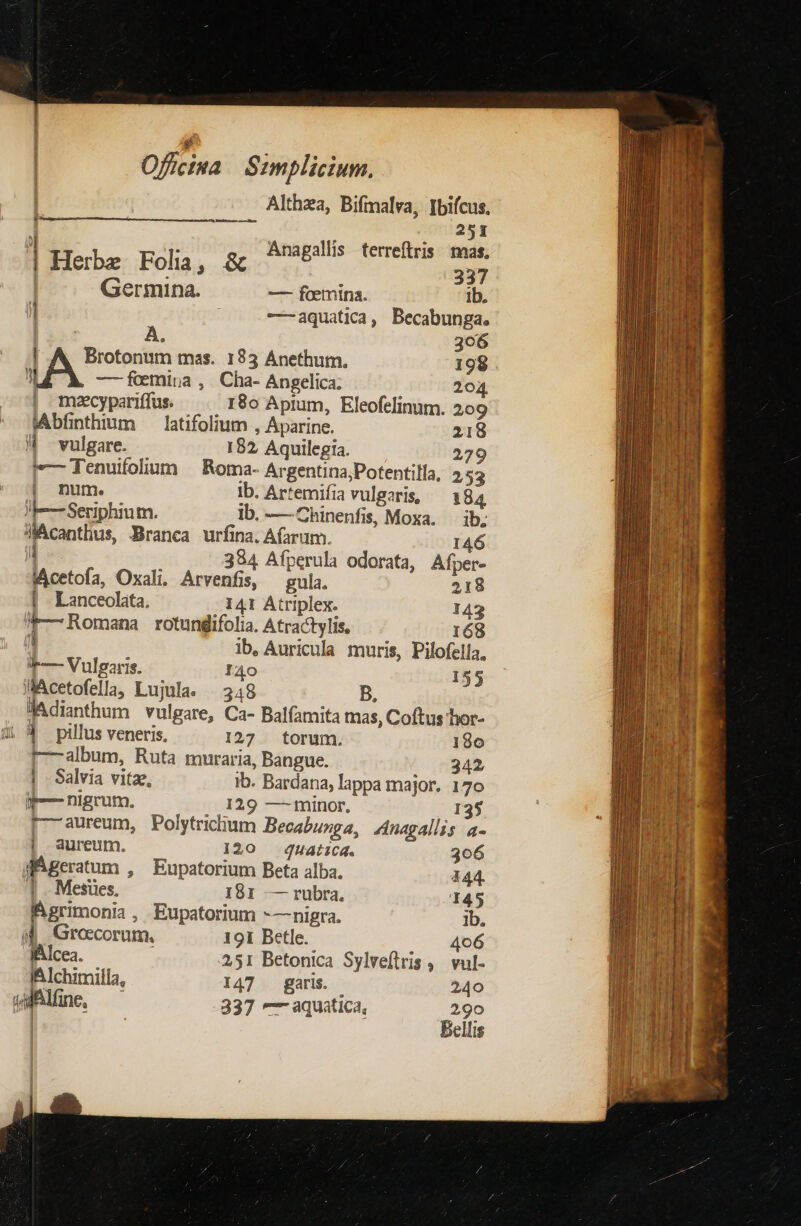 Althza, Bifmalva, [bifcus, Í ^N 251 j : Anagallis terreftris. mas. | Herbz Fola, & 5 337 Germina. — foemina. ib. j ——aquatica, Becabunga. EU A, 306 : Brotonum mas. 183 Anethum, 198 b — femina ,. Cha- Angelica: 204 ! mocypariffus. 180 Aprum, Eleofclinum. 209 sAbfinthium — latifolium , Aparine. 218 M vulgare. 182, Aquilegia. 279 | Tenuifolium ^ Roma- Argentina;Potentilla, 252 | num. Ib. Artemifia vulgaris, 184 I —Seriphium. Ib. -— -Chinenfis, Moxa. ib, dMAcanthus, Branca urfina. Afarum. 146 ii 384 Afperula odorata, Afper- MAcetofa, Oxali, Arvenfis, — gula. 218 | Lanceolata. 141 Atriplex. 143 *— Romana rotungifolia. Atractylis, 168 1 ib. Auricula muris, Pilofella, r— Vulgaris. I40 155 WAcetofella, Lujula. 348 B, Adianthum vulgare, Ca- Balfamita mas, Coftus hor- ü. 4 pillus veneris, 127 torum. 190 r—album, Ruta muraria, Bangue. 342 | Salvia vitae, ib. Bardana, lappa major. 170 r-— nigrum. 129 — minor, I3$ [- aureum, Polytrichum Becabunga, 4nagallis a- | aureum. 120 QHat1cd. 306 MAgeratum , Eupatorium Beta alba. 444. 1 Mesües, I81 — rubra. 145 Rgrimonia, Eupatorium -— nigra. Ib. 94 Groscorum. 191 Betle. 406 jAlcea. 2,51 Betonica Sylveflris 4. vul- IAlchimilla, I47 garis. 240 wuAlne, ^ 337 ^ aquatica, 290 Bellis