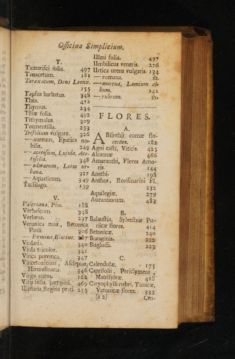 77 Ulmti folia. 497 T. limbilicus veneris. — 276 Tamarifci folia, 497 llrtica urens vulgaris. 134. Tanacetum. 1981 — romana. ib. Jaraxacum, Dens: Leons. — mortua, Lamium ale 155 bum, 242 Tapfus barbatus. 349 — rubrum. ib. Thea. 7 hymus. 1230 5 — OA — Tite folia. 42 FLORE S. Titbymalus. 309 Tormentiila. 253 Á, drifohum vulgare. — 326 Bfnthii come flo- -—-aureum, Epatica no- A me t 182 bilis. 249 Agni cafti, Vitics. — 425 -— acetofum, Lujula, Ace- Alcannze 466 tof lla 349 Amaranthi, Flores Amo- fe odoratum , Lotus ur- — yis. 144 bana. 327 je ; 198 p ur Aquat Icum, 349 Anthos , Rorifmarini F ZR Tufiilago. 159 235 Aquilegiz. 279 V. Aurantiorum. 493 Valeriana, Pha. 198 Vérbafcum. 348 n Veabiens. 237 Balauftia, Sylveftris Pa- Veronica mas, Betonica ^ níicz flores, 414 Pauli. 396 Betonicz. 240 — Femina,Elatzne. 87 Boraginis. 225 Violari;. 340 Busloffi 223 Viola tricolor. 34I Vinca pervinca, 347 C. Vincetoxicum , A (clepi ias; Calendulz, 75 Hirundinaria. 246 Caprifolii , Periclyment , Virga aurea, - 162, - Matrifyleze, 418 Vitis folis, parbpint. 469 Caryoph ylli ad bri, Tunicz, Uiparia Regina prat 255... Vetonicze flores; 333 3 E w. r ^ » Vo VvEAT