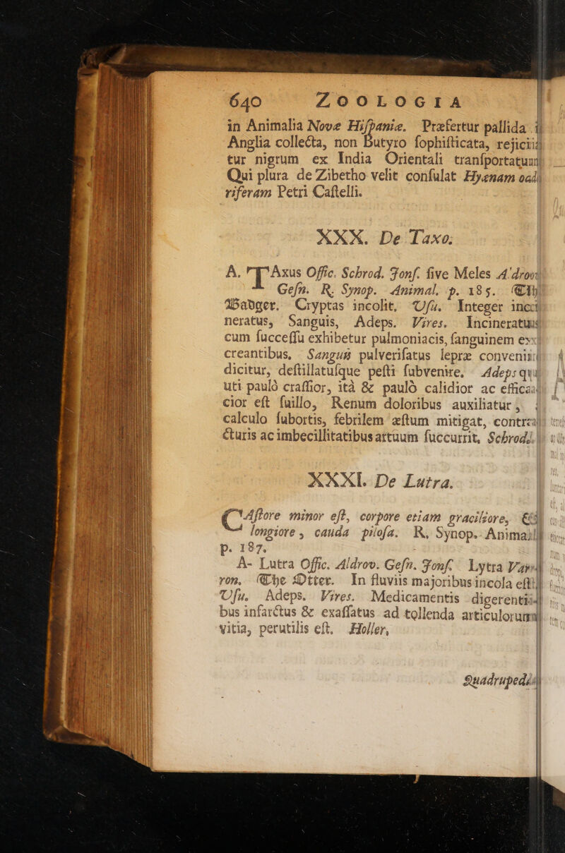in Animalia Nove Hifpanie. Prefertur pallida 1j Anglia collecta, non Butyro fophifticata, rejiciii tur nigrum ex India Otrientali tranfportatuni Qui plura de Zibetho velit confulat. Eyenam oa riferam Petri Caftelh. AXX. De Taxo. A. [ Axes Offic. Schrod. gonf. five Meles 4'dron Gefn. R. Symop. Animal. p. 18$. &amp;EA) Abaoget. Cryptas incolit, U/z. Integer inc neratus, Sanguis, Adeps. Vres. ncineratum cum fucceffu exhibetur pulmoniacis, fanguinem es creantibus, ^ Szngus pulverifatus lepre convenii dicitur, deftillatufque pefti fubvenire, — 4depsqua uti pauló craffior, ità &amp; pauló calidior ac efficaa ciot eft fuillo, Renum doloribus auxiliatur; . calculo fubortis, febrilem aftum mitigat, contra &amp;turis ac imbecillitatibusartuum fuccurrit, Sebrod, XXXI. De Lutra. Qe minor efl, corpore etiam eracilzore, €) lengiore , cauda pilofa. KR, Synop.- Anima) A- Lutra Offic. Aldrov. Gefn. ouf... Lytra Vaw)| vom. (be fDtter. In fluviis majoribusincola efti] Uf[w Adeps. Vires. Medicamentis digerentii-] Excess C). fO « ' e ml » : Tad i bus infarctus &amp; exaffatus. ad tollenda articulorum 1 vitia, perutilis eft, — Ho//er, L] Suadrupedi: