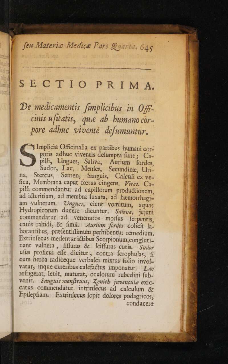 acci aco c cca onm um - - - SECTIO PRIM A De medicamentis. fimplicibus in. 0f cinis ufitatis, que ab. bumano Cor- pore adbuc viventé defununtur. Y Implicia Officinalia ex partibus humani cor- Üaa poris adhuc viventis defumpta funt ; Ca- pili, lingues, Saliva, Aurium fordes, Sudor, Lac, Menfes, Secundinz, Llri- na, Stercus, Semen, Sanguis, Calculi ex ve- fica, Membrana caput foetus cingens, Vres, Ca- pilli commendantur ad capillorum productionem, ad icteritiam, ad membra luxata, ad hzmorrhagi- am vulnerum. 'Ungues, cient vomitum, aquas Hydropicorum ducere dicuntur. Saljva, jejunt commendatur ad. venenatos morfus ferpentis, canis rabidi, &amp; fumi. A[urium fordes colicà la. borantibus, przefentiffimum perhibentur remedium. Extrinfecus medentur iGtibus Scorpionum,congluti- nant vulnera, fiffuras 8z Íciffuras cutis. —$udor ufus proficui effe. dicitur, contra fcrophulas, fi cum herba radiceque verbaíci mixtus folio invol- vatur, 1nque cineribus calefactus imponatur, Lac refrgerat, lenit, maturat; oculorum rubedini fub- venit. Sanguis menflvuus, Xenitb juvencule exic- catus commendatur. intrinfecus ad calculum &amp; Epilepfiam. . Extrinfecus fopiz dolores podagricos, ! conducere