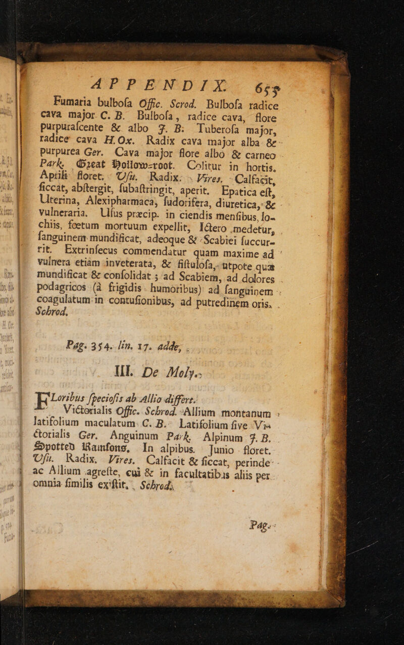 Fumatia bulbofa Offic. Scrod. Bulbofa radice cava major C. B. Bulbofa, radice cava, flore purpurafcente &amp; albo 7. B: CTuberofa major, radice cava H.Ox. Radix cava major alba. &amp; - purpurea Ger. Cava major flore albo &amp; carneo - Park. Dicat Dbollowo-root. Colitur in hortis, Aprili floret, - Ufz. Radix: « Vires, Calfacit, ficcat, abítergit, fubaftringit, aperit. Epatica eft, Llterina, Alexipharmaca, fudorifera, diuretica, &amp; - Vulneraria. llíus prxcip. in ciendis menfibus, 1o- chiis, foetum mortuum expellit, Icero medetur, fanguinem mundificat, adeoque &amp; :Scabiei fuccur- rit. Extrinfecus commendatur quam maxime ad ' vulnera etiam inveterata, &amp; fiftulofa,. ütpote qut mundificat &amp; confolidat ;'ad Scabiem, ad dolores . podagricos (à frigidis . humoribus): ad fanguinem coagulatum-in contufionibus, ad putredinem oris. Scbrod. : Pag. 3$4..[in. 17. adde, . HL De Moiy.. Ert ffeciofis ab Allio diffevz. ^. Vi&amp;orialis Offic. $cbrod. -Allium montanum : latifolium maculatum: C. B.* Latifolium five. Vi« &amp;orialis Ger, Anguinum Paz Alpinum TG. Z»potteo iRamfong, In alpibus ^ Junio - floret. Ufu. Kadix. Vires. Calfacit &amp; ficcat, perinde - ac Allium agrefte, cui &amp; in facultatibus aliis per omnia fimilis exit, | Sebrod; ^