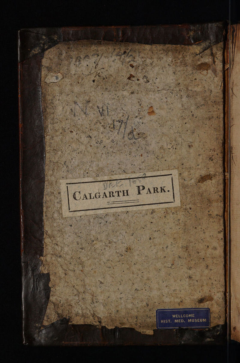 WELLCOME MED. MUSEUM 5 Asien cama 