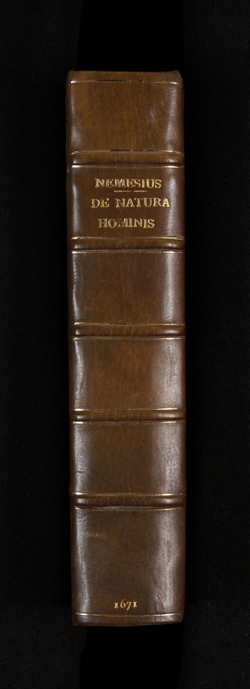 М, Mie rary, | SERRE N i vi d Tet коч,