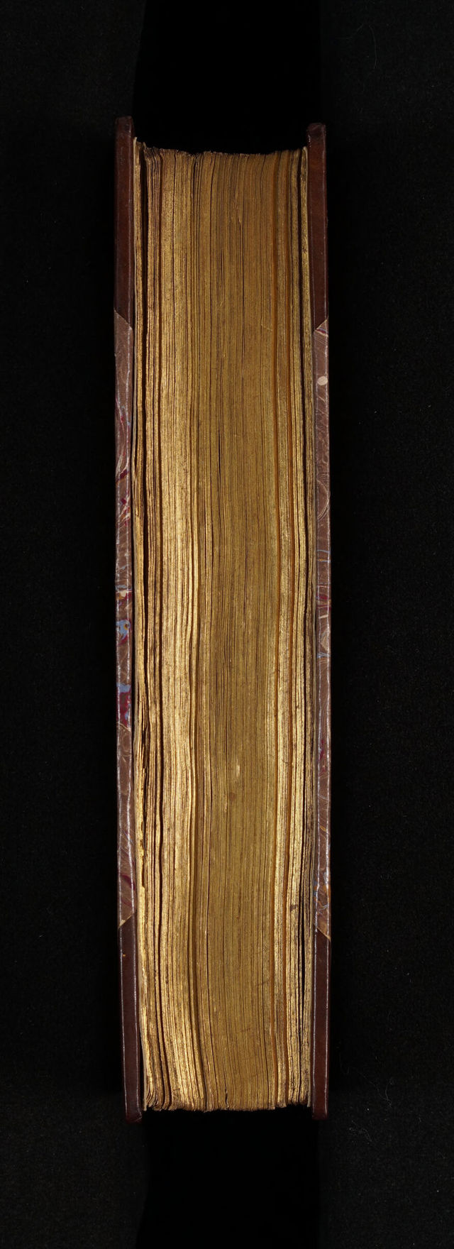 No text description is available for this image