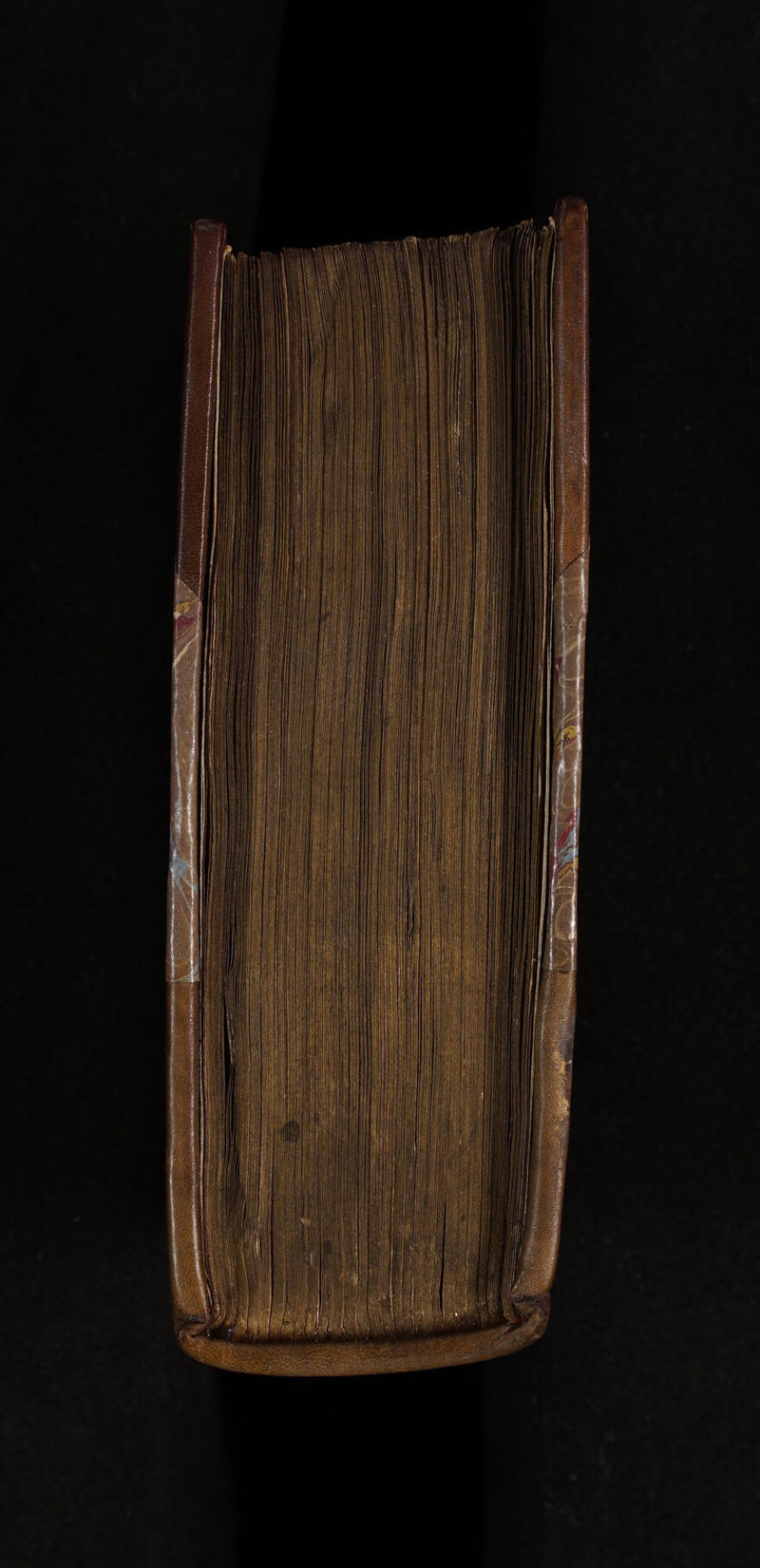 No text description is available for this image