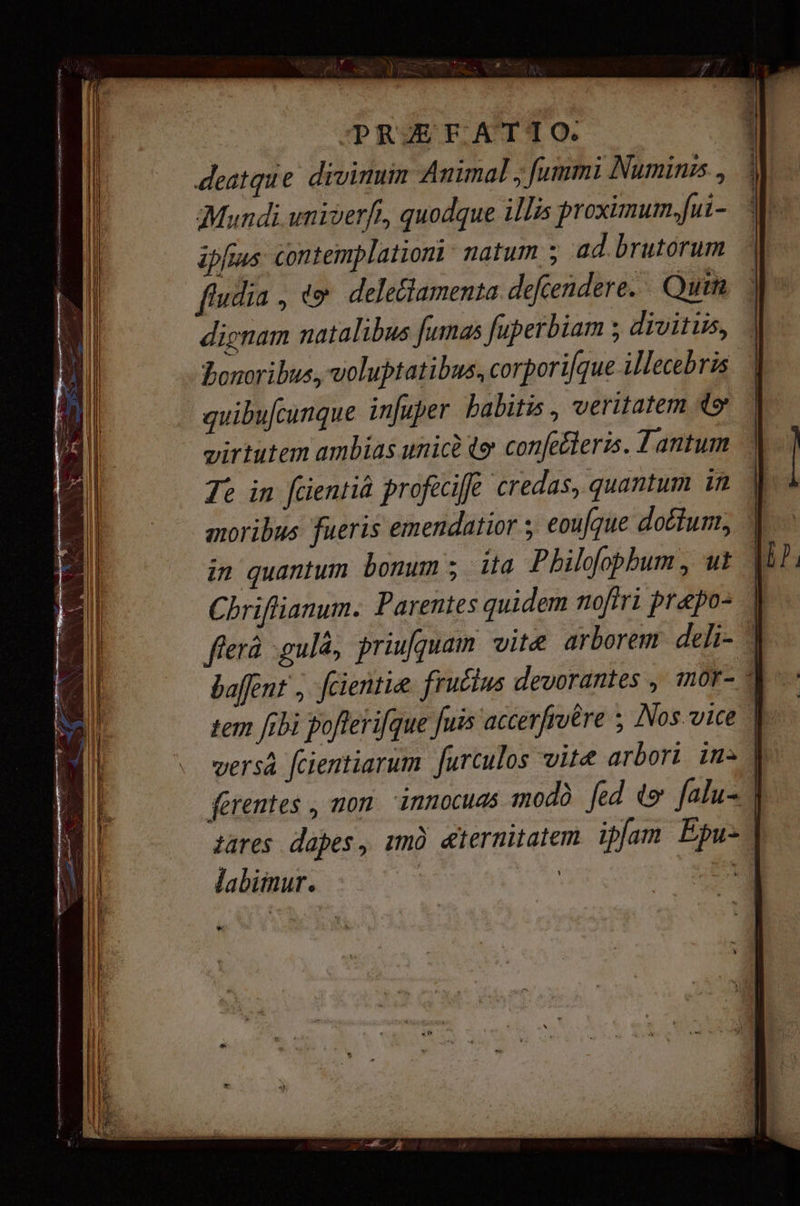 deatque. divinum Animal ; fummi Numinis , Mundi univerft, quodque illis proximum.fui- ipfius contemplationi: natum ; ad brutorum ftudia , ty delectamenta defendere. Quin dignam natalibus fumas fuperbiam ; divitiis, | bonoribus, voluptatibus, corporifque illecebris | quibufcunque infuper habitis , veritatem 49 virtutem ambias unic ty confe&leris. Tantum Te in fcientia profecifè credas, quantum in moribus fueris emendatior 5 eoufque doctum, in quantum bonum ; Иа Philofophum , ut | Chriflianum. Parentes quidem noftri prapo- етй сша, priufquam vite arborem deli- ` фал , fcientie fructus devorantes , mor- О tem fibi poflerifque [uis accerfrvére 5 Nos vice | versa fcientiarum Јитсиїоѕ vite arbori in ferentes , non innocuas modo fed ty falu- tares dapes, ттд æternitatem ipfam Ерих labiinur. | |