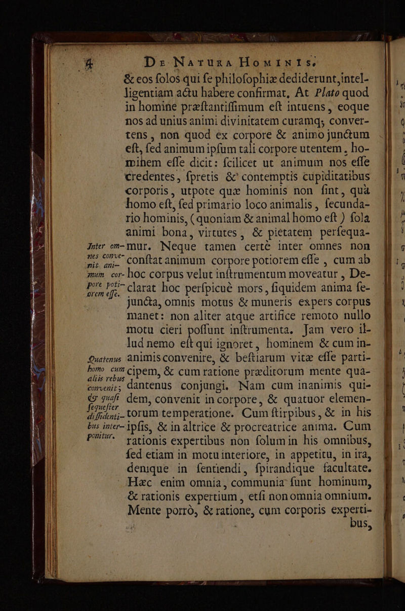 у! $ 2 > ==?” “аа & eos folos qui fe philofophiæ dediderunt, intel- ligentiam actu habere confirmat, At Plato quod in homine praftantiffimum eft intuens, eoque nos ad unius animi divinitatem curamq; conver- tens, non quod ex corpore & animo junctum ей, fed animum ipfum tali corpore utentem . ho- mihem effe dicit: fcilicet ut animum nos effe credentes, fpretis & contemptis cupiditatibus corporis, utpote qux hominis non fint, quà homo eft, fed primario loco animalis , fecunda- rio hominis, (quoniam & animal homo eft ) fola animi bona, virtutes, & pietatem perífequa- Jnter on-mur. Neque tamen certé inter omnes non on. conftatanimum corpore potiorem effe , cum ab mum cor- hoc corpus velut inftrumentum moveatur , De- iud Des clarat hoc perfpicué mors , fiquidem anima fe- juncta, omnis motus & muneris espers corpus manet: non aliter atque artifice remoto nullo motu cieri poffunt inftrumenta. Јат vero il- lud nemo eít qui ignoret, hominem & cum in- Quatenus animisconvenire, & beftiarum vitz efle parti- кой cipem, & cum ratione præditorum mente qua- convenit; dantenus conjungi, Nam cum inanimis qui- dg най dem, convenit incorpore, & quatuor elemen- fequefter 2 Биз inter- ipfis, & in altrice & procreatrice anima. Cum Ри. rationis expertibus non folumin his omnibus, {ed etiam in motuinteriore, in appetitu, in ira, denique in fentiendi, fpirandique facultate. Нес enim omnia, communia funt. hominum, & rationis expertium , etfi non omnia omnium. Mente porró, & ratione, cum corporis od j^ us,