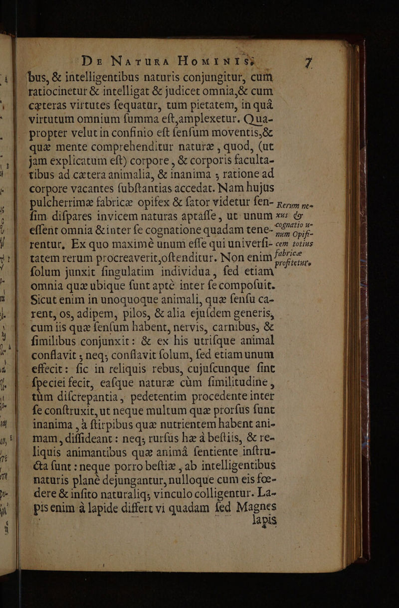—————— ca m———————— —— me | bus, &amp; intelligentibus naturis conjungitur, cum |. ratiocinetur &amp; intelligat &amp; judicet omnia, &amp; cum ceteras virtutes fequatür, tum pietatem, in quà virtutum omnium fumma eft,amplexetur. Опа- propter velut in confinio eft fenfum moventis,&amp; qui mente comprehenditur natura , quod, (ut jam explicatum eft) corpore , &amp; corporis faculta- tibus ad catera animalia, &amp; inanima ; ratione ad corpore vacantes fubftantias accedat. Nam hujus pulcherrimz fabrice opifex &amp; fator videtur fen- rerum nea fim difpares invicem naturas aptaffe, ut unum xw d» effent omnia &amp;inter fe cognatione quadam tene- орк. rentur, Ex quo maximé unum effe qui univerfi- cem totins tatem rerum procreaverit,oftenditur. Non enim орех, folum junxit fingulatim individua, fed etiam | omnia quz ubique funt apté inter fe compofuit. | Sicutenim in unoquoque animali, qua fenfu ca- rent, os, adipem, pilos, &amp; alia ejufdem generis; | cumiis quz fenfum habent, nervis, carnibus, &amp; fimilibus conjunxit: &amp; ex his utrifque animal conflavit ; neq; conflavit folum, fed etiam unum | effecit: fic in reliquis rebus, cujufcunque fint | fpeciei fecit, eafque nature cùm fimilitudine , tum diícrepantia, pedetentim procedente inter fe conftruxit, ut neque multum quz prorfus funt inanima , à ftirpibus qua nutrientem habent ani- | mam, diffideant : neq; rurfus hæ а beftiis, &amp; re- | liquis animantibus quz апіта fentiente inftru- | Ga (unt : neque porro beftiz , ab intelligentibus | naturis plané dejungantur, nulloque cum eis fce- | dere &amp;infito naturaliq; vinculo colligentur. La- lapis