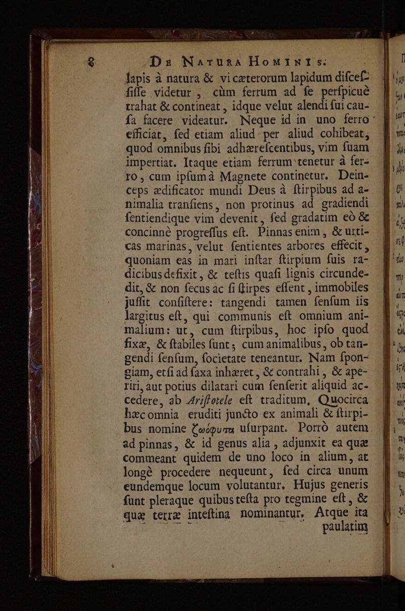 Ds Natura HOMINIS: lapis à natura &amp; vicaterorum lapidum difcef- 10е videtur , cùm ferrum ad fe perfpicué trahat &amp; contineat , idque velut alendi fui cau- fa facere videatur. Neque id in uno ferro ' efficiat, fed etiam aliud. per aliud cohibeat, quod omnibus fibi adharefcentibus, vim fuam impertiat. Itaque etiam ferrum tenetur à fer- IO, cum ipfumà Magnete continetur. Dein- ceps zdificator mundi Deus à ftirpibus ad a- nimalia tranfiens, non protinus ad gradiendi fentiendique vim devenit, fed gradatim еб &amp; concinné progreffus eft. Pinnas enim , &amp; urti- cas marinas, velut fentientes arbores effecit, quoniam eas in mari inftar ftirpium fuis ra- dicibus defixit, &amp; teftis quafi lignis circunde- dit, &amp; non fecus ac fi грез effent , immobiles juffit confiftere: tangendi tamen fenfum iis largitus eft, qui communis eft omnium ani- malium: ut, cum ftirpibus, hoc ipfo quod fixe, &amp; ftabiles funt; cum animalibus, ob tan- gendi fenfum, focietate teneantur. Nam fpon- giam, etfi ad faxa inharet, &amp; contrahi , &amp; ape- riri, aut potius dilatari cum fenferit aliquid ac- Cedere, ab Ariftotele eft traditum, Quocirca hecomnia eruditi jun&amp;o ex animali &amp; ftirpi- bus nomine Соорити ufurpant. Porró autem ad pinnas, &amp; id genus alia , adjunxit ea qua commeant quidem de uno loco in alium, at longè procedere nequeunt, fed circa unum eundemque locum volutantur, Hujus generis funt pleraque quibus tefta pro tegmine eft, &amp; qua terre intefting nominantur, Atque ita y RR SCRI |^. paulatim