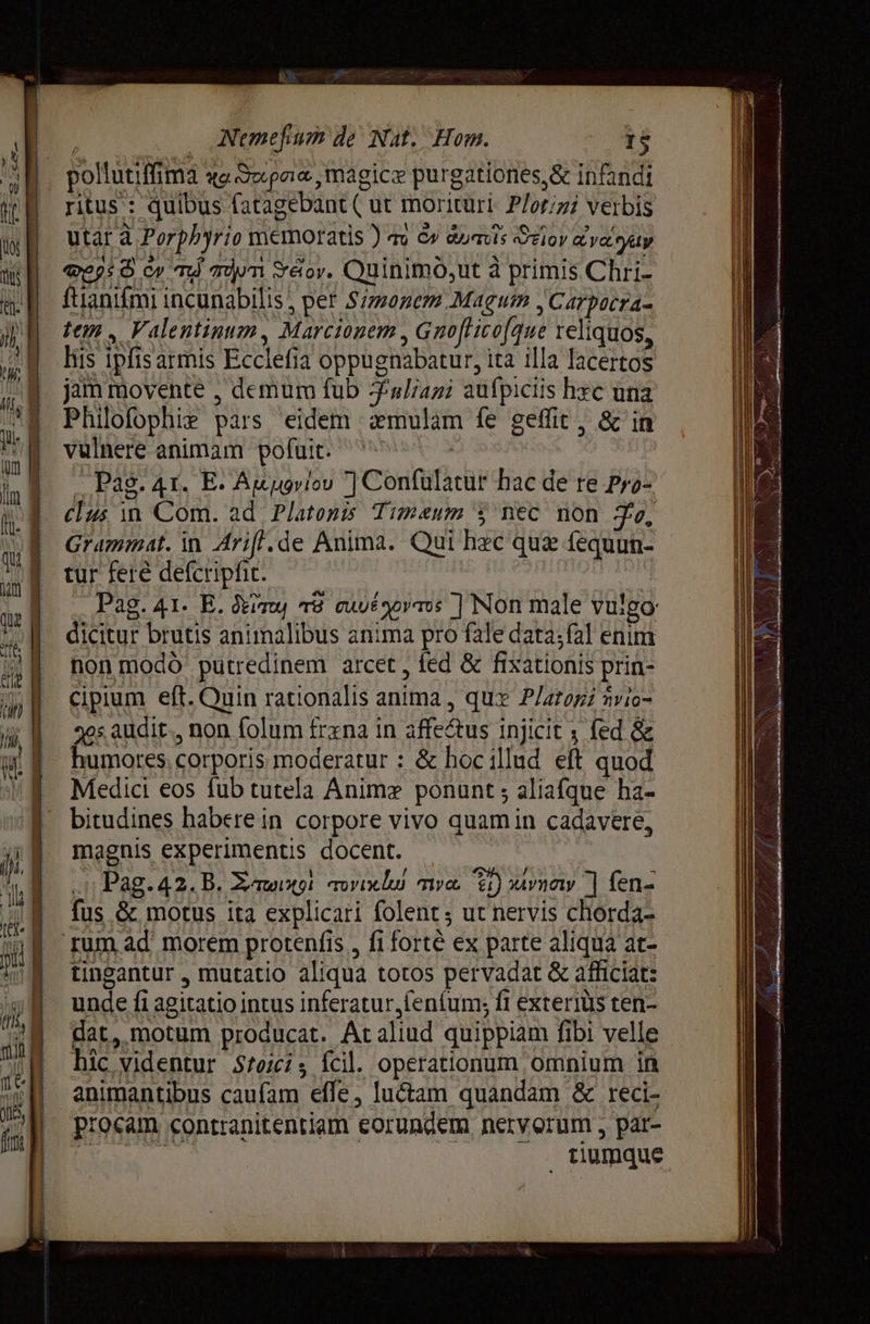 pollutiffima «e Sxpaa magice purgationes,&amp; infandi ritus : quibus fatagebant( ut morituri: P/or;zi verbis utar à Porphyrio memoratis ) то б azavis Ozioy ауа ушу Феу: w т т оу. Quinimoó,ut à primis Chri- {напти incunabilis , per Simonem Magum , Carpocra- ит. Valentinum, Marcionem , Gnofiicofque reliquos, liis ipfisarmis Ecclefia oppugnabatur, ita illa lacertos jam movente , demum fub Fulani aufpiciis hxc una Philofophie pars eidem mulam fe geffit , &amp; in vulnere animam pofuit. > = i | | Рао. 4r. E. Am ugviou ] Cenfulatur hac de te Pro- clus in Com. ай Platonis Timeum $ nec non Zo, Grammat. in Ariff.de Anima. Qui hec quz fequun- tur fere defcripfit. : 5 . Pag. 41. E. dimy т8 си) орто ] Non male vulgo dicitur brutis animalibus anima pro fale data;fal enim поп modo putredinem arcet, fed &amp; fixationis prin- cipium eft. Quin rationalis anima , qux Platoni nvio= sos audit, non folum frxna in affe&amp;us injicit ; fed &amp; humores. corporis moderatur : &amp; hoc illud eft quod Medici eos fub tutela Anime ponunt ; aliafque ha- bitudines habere in corpore vivo quam in cadavere, magnis experimentis docent. Li Pag.42. B. 5шю тох) туо. P» жулу ^ fen- fus &amp; motus ita explicari folent; ut nervis chorda- rum ad morem protenfis , fi forte ex parte aliqua at- tingantur , mutatio aliqua totos pervadat &amp; afficiat: unde fi agitatio intus inferatur, fenfum; ft exterius ten- dat, motum producat. Ac aliud quippiam fibi velle hic videntur 5101 fcil. operationum omnium іа animantibus caufam effe, luctam quandam &amp; reci- procam contranitentiam eorundem nervorum , par- ^ ê | - 0.2 ftiumque
