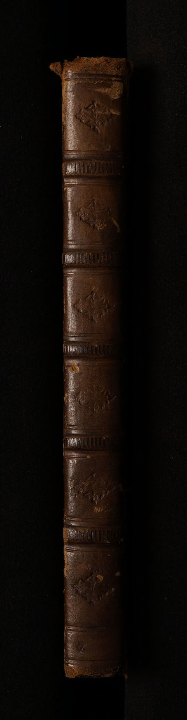 digitised image 2