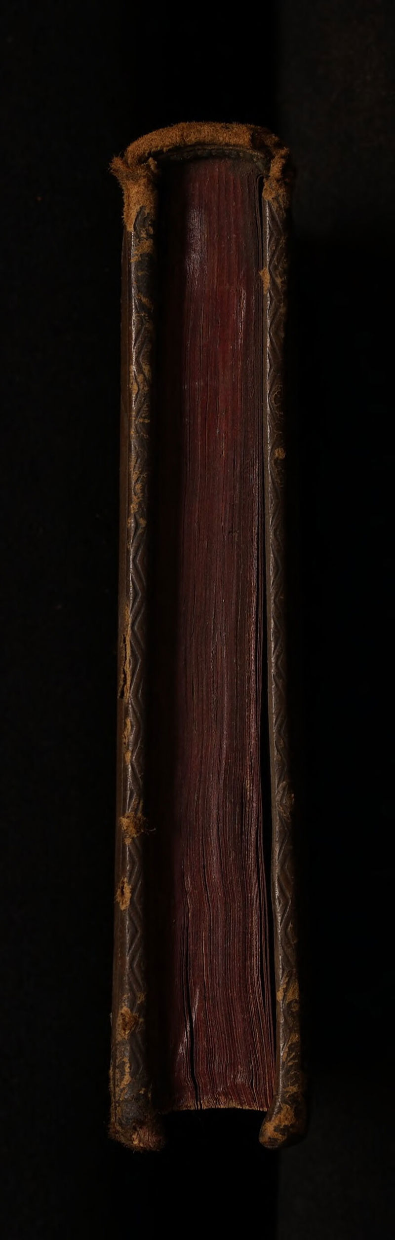 No text description is available for this image