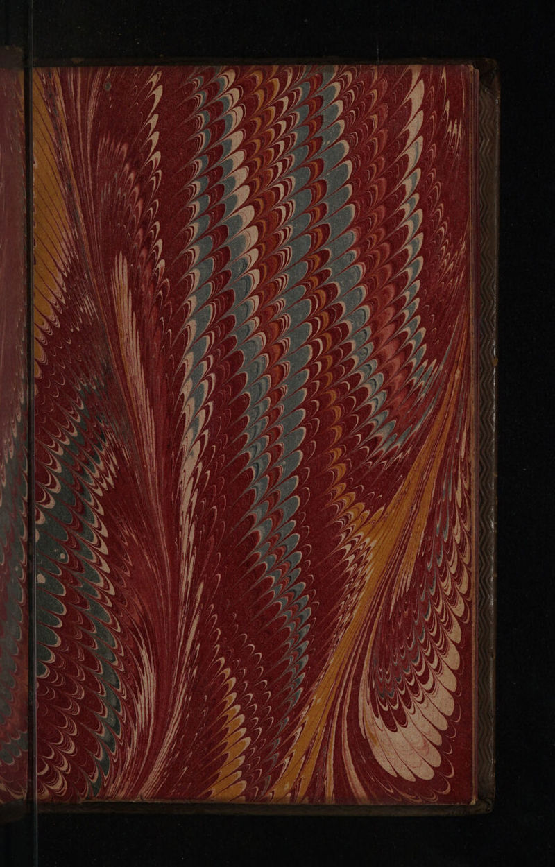 mS Se aeuese tn ee v= Fis eR a a ign