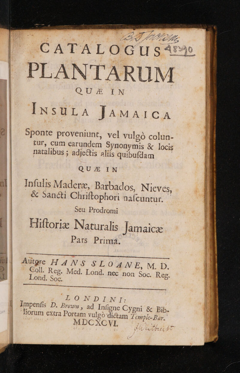 ian A ATA: Le ZA I InSULA JAMAICA 2] Sponte proveniunt, vel vulsò colun- \J al fur, cum carundem S Synonymis &amp; locis ill natalibus ; ; adjeCtis aliis quibufdam QUE IN | DI \ Infulis Madera, B asp Nieves, Mi &amp; Santi Chriftophori naf cuntur. i seu Prodromi | | Eliftorie Naturalis Jamaica Pars Prima. een W| Autore HANS SLOANE, M_D. di | Goll. Reg. Med. Lond. nec non Soc. Reg. I Lond. So cn te A STTSINE II Y 40 :N:D DEN JT: Impenfis D. Brown, ad Infigne Cygni &amp; Bib- liorum extra Por un vulgò dan GORE RE. | MDC XC VI. Cain