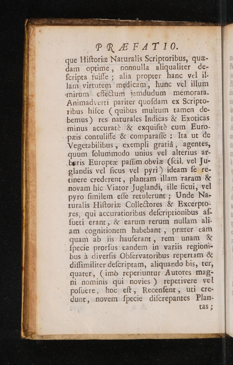que Hiftorix Naturalis Scriptoribus, que- dam optime, nonnulla aliqualiter de- fcripta fuiffe ; alia propter hanc vel il- lam virtutem medicam, hunc vel illum mirum.effe&amp;um tamdudum memorata. Animadverti pariter quofdam ex Scripto- ribus hifce (quibus multum tamen de- bemus) res naturales Indicas &amp; Exoticas minus accuratò &amp; exquifitò cum Euro- Vegetabilibus,, exempli gratià, agentes, quum folummodo unius vel alterius ar- bpris Europea paffim obvia (fcil. vel Ju- glandis vel ficus vel pyri)) ideam fe re- cinere crederent, plantam illam raram &amp; novam hic Viator Juglandi, ille ficui, ‘vel pyro fimilem effe retulerunt; Unde Na- turalis Hiftorie Colle€tores &amp; Excerpto- res, qui accuratioribus defcriptionibus af- fueti erant, &amp; earum‘rerum nullam alt am cognitionem habebant, preter cam quam ab iis hauferant, rem unam &amp; fpecie prorfus: eandem in variis regioni> bus à diverfis Obfervatoribus repertam &amp; difimiliter defcripram, aliquando bis, ter, quater, (imò reperiuntur. Autores mag- pi nominis Qui novies ) repetivere vel pofuere, hoc eft, Recenfent; uti cre- dune, inovem fpecie difcrepantes Plan- tas;