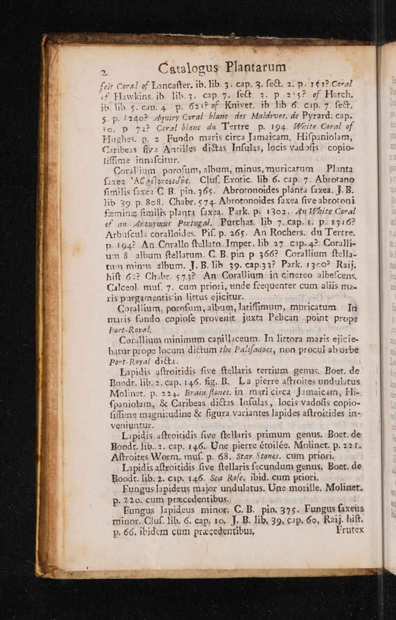 of Lancafter. ib. lib. 3. cap. 3. fett, 2. p. 161?.Cora/ f . pai feit Coral di te i * Te £ Hawkins. ib. lib.3. cap. 7. felt 3. p_2's? of Hatch. 1 Ù “- e . n . lib. s. can. 4. p. 621? of Knivet. ib lib 6. cap. 7. fe&amp;. s.p. 1240? Aquiry Coral blane des Maldives. de Pyrard: cap. to. p 72? Coral blanc du Tertre p. 194. Werte Coral of ighes. p. 2 Fundo maris circa famaicam, Hifpuniolam, iribeas five Antilles di&amp;as Infulas, locis vadofis. copio- fifime innafcitur. Coral'ium porofum, album, minus, muricatum. Planta figea ‘ACadlorosidts. Cluf, Exotre. lib. 6. cap. 7. Abrotano fimilis faxea CB. pin. 365. Abrotonoides planta faxea. j. B. lib 29. p. 808. Chabr. 574. Abrotonoides faxea five abrotoni femina fimilis planta faxea. Park. p. 1302... 47 W?aite Coral of an Anouymat Portugal. Purchas. lib 7. cap. 1. p. 1316? Arbufcnla coralloides. Pif. p. 265. An Rochers. du Tertre. p. 194? An Corallo ftellato.Imper. lib 27 cap.42: Coralli um $. album ftellatum. C. B. pin p 366? Corallium ftella- tum mins album. J. B. lib 39. cap.33? Park. 13c0? Raij. hit 62? Chibr. «73? AnoCorallium in cinereo albelcens, Calceol. muf. 7. cum priori, unde frequenter cum aliis ma. ris purgamentis'in littus ejicitur. Corallium, porofam; album, latifimum, muricatum. In maris fondo copiofe provenit. juxta Pelican point prope Port-Royal. Corallium minimum capillaceum. In littora maris ejicie- batur prope locam dittum the Palifadoss, non procul aburbe Port-Royal ditta. Lapidis aftroividis five ftellaris tertium genus. Boet. de Boodt. lib.2. cap. 146. fig. B. La pierre aftroites undulutus Molinet. p. 224. Brass ffones. in. mari circa Jamaicam, Hi fpaniolam, &amp; Caribeas diftas Infulas, locis vadofis copio- filfime magnicudine &amp; figura variantes Japides aftroitides in- veniuntur. Lapidis.aftroitidis five ftellaris primum genus. Boer. de Roodt. lib. 2. cap. 146. Une pierre étoilée. Molinet. p. 22.1. Aftroites Worm. muf. p. 68. Star Stones. cum priori. Lapidis aftroitidis five ftellaris fecundum genus. Boet. de Boodt. lib. 2. cap. 146. Sca Rofe. ibid. cum priori. Funguslapideus major undulatus. Une morille. Moliner, p. 220. cum precedentibus. | | Fungus lapideus minor. C, B. pin 375. Fungus faxeis p. 66, ibidem cum pracedentibus, Frutex pulod