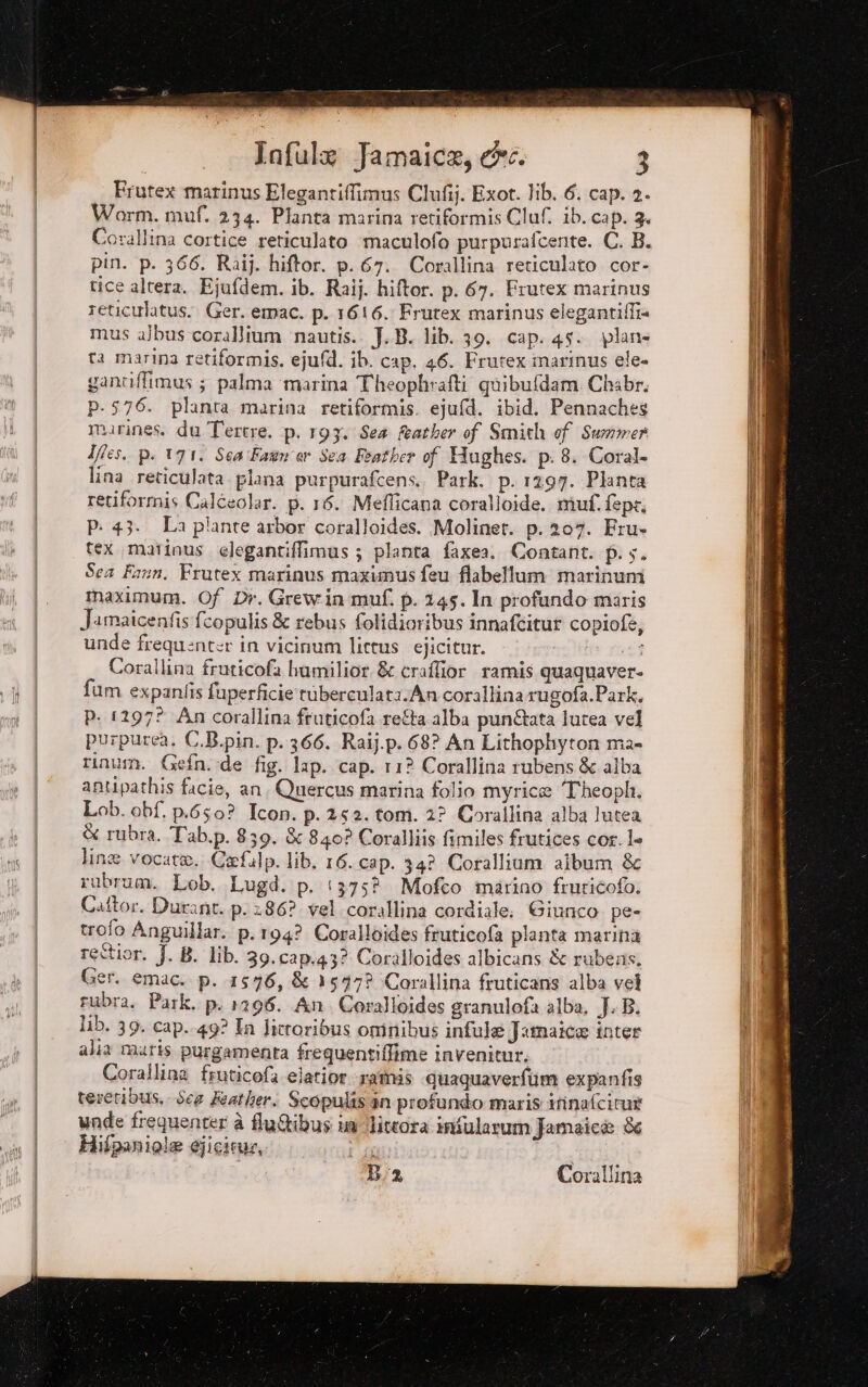 Frutex marinus Elegantiffimus Clufij. Exot. Jib. 6. cap. 2. Worm. muf. 234. Planta marina retiformis Cluf. ib. cap. 3. Corallina cortice reticulato maculofo purpurafcente. C. B. pin. p. 366. Raij. hiftor. p. 67. Corallina reticulato cor- tice altera. Ejufdem. ib. Raij. hiftor. p. 67. Frutex marinus reticulatus.. Ger. emac. p. 1616. Frutex marinus elegantiffia mus albus -corallium ‘nautis.. J..B. lib. 39. cap. 45. plane ta marina retiformis. ejufd. ib. cap, 46. Frutex inarinus ele» gantiffimus ; palma ‘marina Theophrafti quibufdam Chabr. p-576. planta marina retiformis. ejufd. ibid. Pennaches marines. du Tertre. p. 197. Sea feather of Smith of Summer Îfles. p. 171. Sea'Faan er Sea Feather of Hughes. p. 8. Coral. lina reticulata. plana purpurafcens.. Park. p. 1297. Planta retiformis Caléeolar. p. 16. Meflicana coralloide. muf.fepr. P: 43. La piante arbor coralloides. Molinet. p. 207. Fru- tex marinus. elegantiffimus ; planta faxea. Contant. p. s. Sca Fann. Frutex marinus maximus feu fiabellum marinum maximum. Of Dr. Grewin muf. p. 145. In profundo maris Jamaicenfis fcopulis &amp; rebus folidioribus innafcitur copiofe, unde frequenter in vicinum lictus. ejicitur. to; Corallina fruticofa humilior, &amp; craflior ramis quaquaver- fum expanfis fuperficie tuberculata.An corallina rugofa.Park. p. 1297? An corallina fruticofa refta alba pun&amp;ata lurea vel purpurea. C.B.pin. p.366. Raij.p. 68? An Lithophyton ma- rinum. Gefn.-de fig. lap. cap. 11? Corallina rubens &amp; alba antipathis facie, an, Quercus marina folio myrice Theopl. Lob. obf. p.650? Icon. p.252. tom. 2? Corallina alba lute: &amp; rubra. Tab.p. 839. &amp; 840? Coralliis fimiles frutices cor. le line vocate. Cefilp. lib. 16. cap. 34? Corallium album &amp;c rubrum. Lob. Lugd. p. (375% Mofco marino fruricofo. Cattor. Durant. p. 86? vel corallina cordiale; Giunco pe- trofo Anguillar. p.r94? Coralloides fruticola planta marina rettior. J. B. lib. 39.c2p,43? Coralloides albicans &amp; rubens. Ger. emac. p. 1576, &amp; 1577? Corallina fruticans alba vel rubra. Park. p. 1296. An. Coralloides granulofa alba, J. B. lib. 39. cap. 49? Ia licroribus omnibus infule Jamaice inter alia matris purgamenta frequentiffime invenitur. Corallina fruticofa eiatiorratmis quaquaverfum expanfis terenibus. Sez Zeather. Scopulis in profundo maris ifinafcitut unde frequenter è fluGibus im litcora infularum Jamaice &amp; Hifpaniole gjicirus, a Bra Corallina Mur SASA SE bio Rpg seal urne li, al sprecano +