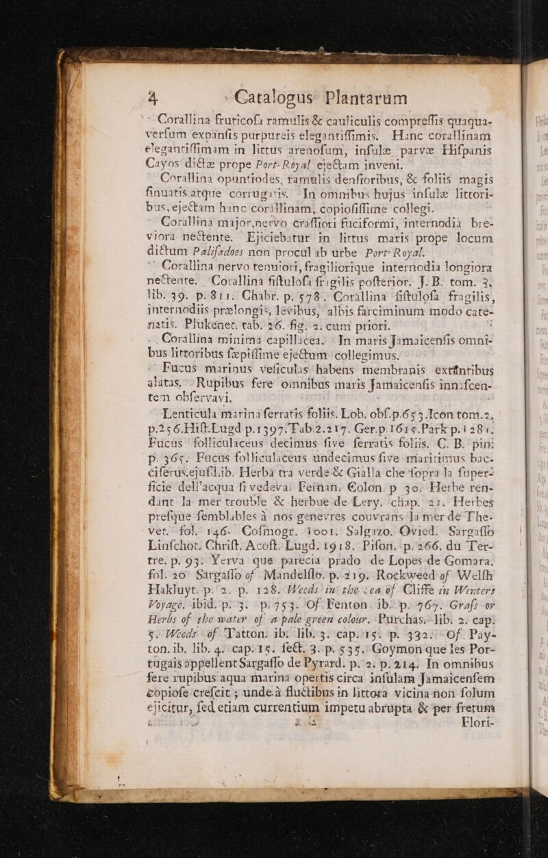° Corallina fruticofa rarmulis &amp; cauliculis comprefis quaqua- verfum expanfis purpureis elegantiffimis. Hanc cBialtimani Oni iffimam in littus arenofumi, infule parve Hifpanis Cayos di&amp; prope Por Royal ete&amp;am inveni. Corallina opuntiodes, ramulis denfroribus, &amp; foliis magis finuatis atque corrugatis. In omnibus hujus infule Jittori- bus, ejeîtam hanc corillinam, copiofiffime collegi. Gorallina major,nervo craffiori fuciformi, internodii bre: viora nettente. Ejiciebatur in littus maris prope locum ditum Palifadoes non procul ab urbe Por Royal. Corallina nervo tenuiori, fragiliorique inter Piola longiora nettente.. Cor alina fitulol fe. igilis pofterior. J.B. tom. 3. lib. 39. pi8ir. Chabr. p. 578. Corallina ‘iiftulofa fragilis, internodiis rogito , levibus, albis farciminum modo cate- natis. Plukenect tab. 26. fig.'2. cum priori. Corallina minima capillicea. In maris Jamaicenfis Sandi us littoribus frepiffime eje&amp;um collegimus. Fucus marinus veficulas'habens membranis extfintibus alatas. Rupibus fere oinnibus maris famaicenfis i inni fcen- tem obfervavi. Lenticùla marina ferratis foliis. Lob. obf.p.653.Icontom.2. p.256.Hit.Lugd p.1397:Tub.2.217. Ger.p.161% ‘Park p.i 284, ni folliculaceus decimus five ferratis foltis. C. B. pini p. 365: Fucus folliculiceuws undecimus five maritimus bac- era US. ejufili ib. Herba tra verde &amp; Gialla che fopra la fuper:- ficie dell’acqua fi vedeva» Feinan: Colon. p 30. Figebe ren» dant Ia mer trouble &amp; herbue de Lery. ‘cliap. 121. Herbes prefque femblables à nos genevres couvrans-la mer de The- ver. fol. 146. Cofmogr. ioor. Salgazo. Ovied. Sargaflo Linfchot. Chrift. Acoft. Lugd. 1918. Pifon.ip.266. du Ter- tre. p. 93: Yerva que parecia prado de Lopes de Gomara. fol. 20° Sargaflo of Mandello. p.219. Rockweed of Welfh Hakluyt. p. 2. p. 128. MWecds ini the sca 6f Cliff in Winters Voyage. ibid. pi 13. (pi753. Of Fenton, ib. p. 467. Grafi or Herbs of the water of a pale green colour. Purchasi-lib: 2. cap: 3: Weeds «of “Tatton: ib: 1tb: 3. capirsi p. 332% Of. Pay- ton. ib. lib. 4. cap.15. fe&amp;. 3: p. 535. Goymon que les Por- tugais appellent Sargaflo de Pyrard. p. 2: p.214. In omnibus fere rupibus aqua marina opertis circa infulam Jamaicenfem copiofe crefcit ; unde.à fluétibus in littora vicina non folum ejicitur, fed etiam currentium impetu abripta &amp; ‘per fretum gua Flori.
