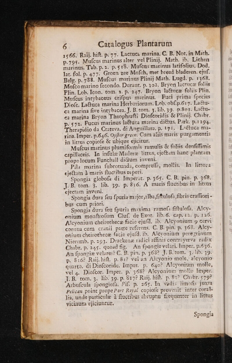 1666: Raij. hift. p: 77. Lactuca marina. C. B. Not. in Math. p.795. Mufcus marinus alter vel Plinij. Math. ib. Lichen marinus. Tab. p. 2. p.5 18. Mufeus'marinus latifolius. Dod. lat. fol. p. 477. Groen zee Mofch, met breed bladeren. ejuf. Bele. p. 788. Mufcus marinus Plinij Math. Lugd. p. 1368. Mofco marino fecondo. Durant. p. 302. Bryon lactuce foliis Pliù. Lob. Icon. tom. a. p..247. Bryon la&amp;vce foliis Piin. Mufcus intybaceus crifpus marinus. Fuci prima fpecies Diofc. La&amp;uca marina Herbariorum. Lob. ob£.p.617. Lattu- ca marina five intybacea. J. B. tom. 3. lib. 39. p.8or. Laltu- ca matina Bryon Theophrafti Diofcoridis &amp; Plini}, Chibr. p. 572. Fucus matinus la&amp;uca marina di&amp;us. Park. p.1294. ‘Therapidio da Crateva, di Anguillara. p. 171. Li&amp;uca ma- rina. Imper. p.646. Oy(fer green: Cum aliis maris purgamentis in littus copiofe &amp; ubique ejicitur. Mufcus marinus plumiformis ramulis &amp; foltis denfifimis capillaceis. In infule Madere littus, eje&amp;um hanc plantam prope locum Funchal! di&amp;um inveni. Pila marina fubrotunda, compreflt, mollis. In littora ejettaim è maris fluctibus repeti. Spongia globofa di Imperit. p. 365. C. B. pin. p. 368. JB. tom. 3. lib. 39. p. 816. A_maris fiuctibus in litràs ejectam inveni. Spongia dura feu fpuria m:jor,alba fiftulofa fibris crafliori - bus cum piiori. Spongia dura feu fpuria maxima ramofi filtulofa. Alcy- oenium monftrofam Clof. de Exot. hb. 6. cap, 12. p. 120. Alcyonium cheirothece facie ejufd. ib. Alcyonium 9 cervi corsua cum cranii parte referens. C. B. pin. p. 368. Alcy- ohium cheirothec® facie ejufd. ib. Alcyonium peregrinum Nicremb. p. 293. Drackene radici affinis contrayerva radix Chabr, p. 245. quoad fig. An fpongie velari. Imper, p.636. An fpongie velares? C. B. pin. p. 368? J.B.tom. 3. lib. 39. p. 816? Raij.hift. p.8:? velan Alcyonio mole, a'cyonio quarto. di Diofcoride. Imper. p. 640? Alcyonium molle, vel 4. Diofcor. Imper. p. 368? Aicyonium molle Imper. J. B. tom. 3. lib. 39. p. 817? Raij. hift. p.82? Chibr. 579? Arbufcula ipongiofa. Pif p. 265. In vadis limofis juxta Pelican point prope Pers Royal copiofe provenit inter coral. lia, unde particule è flustibus abrupte frequenter in littus vicinum ejiciuntur,