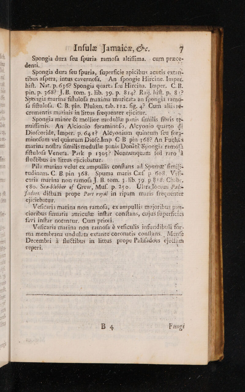 Spongia dura feu fpuria ramofa altiffima. . cum prece» denti. Spongia dura feu fpuria, fiperficie apicibus acutis extani tibus afpera; intus cavernofi. An fpongie Hircine. Imper. hift. Nat. p.636? Spongia quarta f:u Hircina. Imper. C BR. pin. p: 368?: J B. tom. 3. lib. 39. p. 8142. Raij. hift. p. 81? Spongiat marina fiftulofa maxima muticata an fpongia tamo- fa fifulofa. CB. pio. Pluken, tab. t12. fig. 4? Cum alliste. crementis martinis in littus frequente ejicitur. Spongia minor &amp; mollior medulle pinis findilis fibris te nuiffimis.. An Alcionio foraminofo, Alcyonio quarto di Diofcoridé, Imper. p.641? Alcyonium quintum feu fora» minofum vel quintum Diofc.Imp. € B pin 368? An Fuchis marina noftra fimilismedulla pinis Doniti Spongia ramofi filtulofa Veneta. Park. p 1305? Ì Nonnunquam fed raro “à flu&amp;tibus.in Tittus ejiciebatur. Pila marina velut ex ampullis conftans ad Spama” imilia tudinem. C. B. pin. 368... Spuma maris Cef p. NeS: Voti ciria marina non tamofa J. B. tom. 3. lib. 39. p 818: Chibir, Ca 0 o of Lg Muf. p. 150. Ae ra locum ni Veficaria matina non ramofi, ex ampullis maje ofibus pan ciésiats finuatis auricule inftar conftans, cujus fuperficies favi inftar notantur. Cum priori. Veficaria marina non ramofa è veficulis infundibuli for. ma membrana undulata extarite coronatis confians. Menfe Decembri è fluftibus in littus prope Palbfadoes ejetlim seperi, i STR ZAR RTLA DEAìMNIAZIUE NIENTE EI ASTI TETTE PL I tI (N ILA