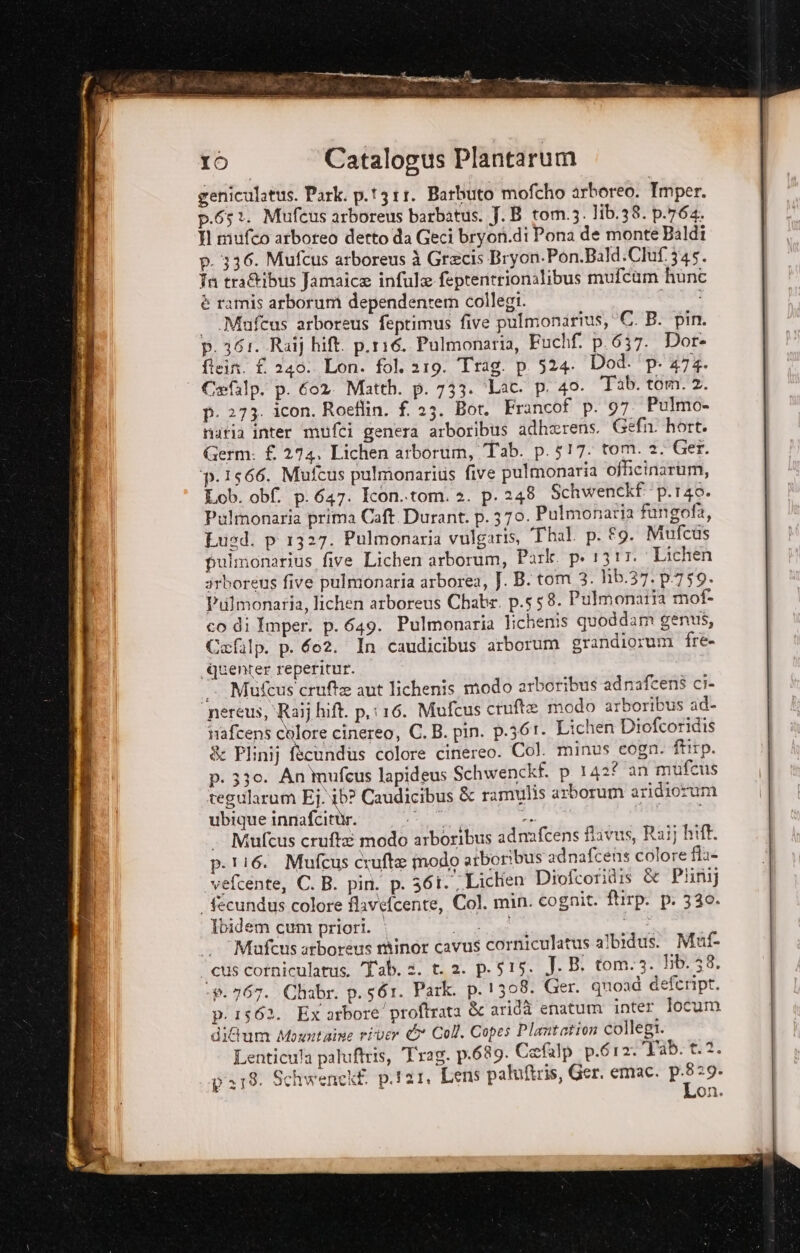 geniculatus. Park. p.t311. Barbuto mofcho arboreo. Imper. p.65:. Mufcus arboreus barbatus. J.B tom.3. lib.38. p.764. H mufco arboreo derto da Geci bryon.di Pona de monte Baldi p. 336. Mufcus arboreus à Grecis Bryon.Pon.Bald:Cluf. 345. Tn tra&amp;ibus Jamaica infula feptentrionalibus mufcam hune è ramis arborum dependentem collegi. picci — .Mafcus arboreus feptimus five pulmonarius, °C. B. pin. p. 361. Raij hit. p.116. Pulmonaria, Fuchf. p.637. Dor- fiein. f. 240. Lon. fol. 219. Trag. p. 524. Dod. p. 474. | Celip. p. 602. Matth. p. 733. Lac. p. 40. Tab. tom. 2. p. 273. icon. Roeflin. f. 23. Bot. Francof p. 97 Pulmo- natia inter mufci genera arboribus adherens. Gefin hort. Germ: £ 274, Lichen arborum, Tab. p.517. tom. 2. Ger. ‘p.1566. Mufcus pulmonaritis five pulmonaria officinarum, Lob. obf. p.647. Icon..tom. 2. p. 248 Schwenckf p.140. Pulmonaria prima Caft. Durant. p.370. Pulmonaria fungofà, Lusd. p 1327. Pulmonaria vulgaris, Thal p. £9. Mufcus puimonarius five Lichen arborum, Park. p. 1317. Lichen irboreus five pulmonaria arborea, }. B. tom 3. hib.37. p.759. Pulmonaria, lichen arborens Chabr. p.s58. Pulmonatia mof- co di Imper. p. 649. Pulmonaria lichenis quoddam genus, ‘efalp. p. 602. In caudicibus arborum grandiorum fre- Qquenter reperitur. “. Mufcus crufte aut lichenis modo arboribus adnafcens ci- ‘nereus, \Raij hift. p,116. Mufcus ciufte modo arboribus ad- nafcens calore cinereo, C. B. pin. p.361. Lichen Diofcoridis &amp; FPlinij fscundus colore cinereo. Col. minus cogn. firp. p. 330. An mufeus lapideus Schwenckf. p 142? an mufcus tegularum Ej.\ib? Caudicibus &amp; ramulis arborum aridiorum ubique inmafcinde. ai Si . Mufcus crufte modo arboribus adnafcens flavus, Raij hift. p.116. Mufcus crufte modo arboribus adnafcens colore fla- vefcente, C. B. pin. p. 361. Lichen Diofcoridis &amp; Pini) fecundus colore flavefcente, Col. min. cognit. ftirp. p. 330. Ibidem cum priori. rg sog ata Mufcus arboreus minor cavus corniculatus albidus. Muf- cus corniculatus. Tab. 2. t. 2. p.s15. J. B. tom.3. lib. 38. ‘0.767. Chabr. p.s61. Park. p.1308. Ger. quoad defeript. p.1562. Ex arbore proftrata &amp; aridà enatum inter. locum diGum Mowntaise river &amp; Coll. Copes Plantation collegi. Lenticula paluftris, Trag. p.689. Cefslp_p.612. Tab. 1.2. p218. Schwenckf p.i21. Lens paluftris, Ger. emac. p.829.