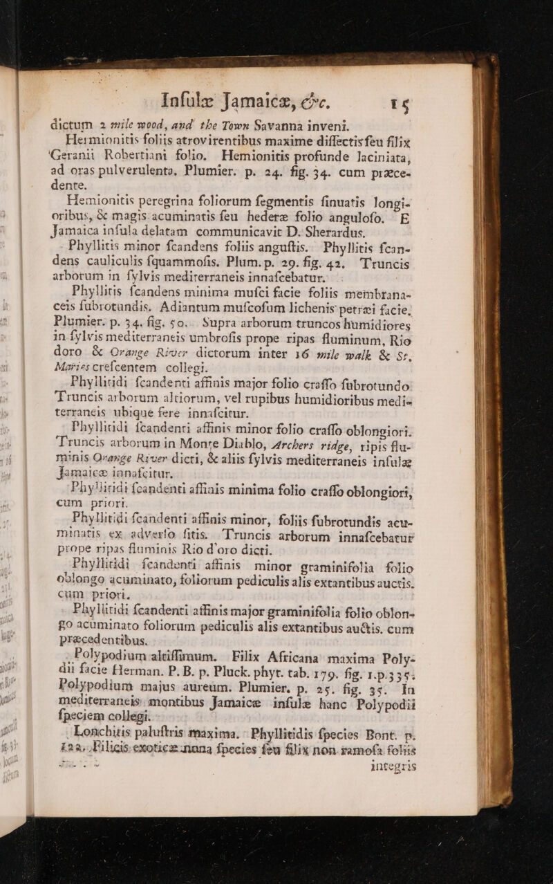 dictum 2 mile mood, and the Town Savanna inveni. Hesmionitis foliis atrovirentibus maxime diffectisfeu filix ‘Gerani Robertiani folio. Hemionitis profunde laciniata, ad oras pulverulenta, Plumier. p. 24. fig. 34. cum prace- dente. Hiemionitis peregrina foliorum fegmentis finuatis longi- oribus, dc magis:acuminatis feu hedere folio angulofo. ‘ E Jamaica infula delatam communicavit D. Sherardus. ‘ PhyIlitis minor fcandens foliis anguftis.. Phyllitis fcan- dens cauliculis fquammofis. Plum.p. 29. fig. 42. Truncis arbotum in fylvis medirerraneis innafcebatur. Phyllitis fcandens minima mufci facie foliis membrana- ceis fubrotundis. Adiantum mufcofum lichenis petrei ficie; Plumier. p. 34. fig. so. Supra arborum truncos humidiores in fylvis mediterraneis umbrofis prope ripas fluminum, Rio doro &amp; Orange River dictorum inter 16 mile walk &amp; Sr. Maries crefcentem collegi. PhyIlrtidi fcandenti affinis major folio craffo fubrotundo Truncis arborum altiorum, vel rupibus humidioribus medie terraneis ubique fere innafcitur. Phyllindi fcandenti affinis minor folio craffo oblonigiori. Truncis arborum in Monte Diablo, Archers ridge, ripis flu- minis Orange River dicti, &amp; aliis fylvis mediterraneis infala Jamatc® innafcitur. Phyliridi fcandenti affinis minima folio craffo oblongiori, cum priori. Phyllitidi fcandenti affinis minor, foliis fubrotundis acu- minatis ex adverfo fitis.. Truncis arborum innafcebatué prope ripas fiuminis Rio d’oro dicti. Phyllitidi fcandenti affinis minor graminifolia folio oblongo acuminato, foliorum pediculis alis extantibus auctis. cum priori. Phylliridi fcandenti affinismajor graminifolia folîo oblon= go acuminato foliorum pediculis alis extantibus au&amp;is. cum precedentibus. Polypodium altiffimum. Filix Africana maxima Poly- dii facie Herman. P. B. p. Pluck. phyt. tab. 179. fig. 1.p.335- Polypodium majus aureum. Plumier, piss. fig. 390 In mediterraneis: montibus Jamaice infule hanc Polypodii fpeciem collegi. ‘Lonchitis paluftris maxima. - Phyllitidis fpecies Bont. n. La olilicis erotica nona fpecies feu filix non ramofa foliis ù Infegris _—.—==-=—T—Frr —TT—WeyeorÒo_o e so — Sag È. 3 Ea È i sà ki = sa: Ù 4 i sa ict pa sign i 0 SÌ E RO do e e de i Peer sadici api RIS A cai een ne‘ ia