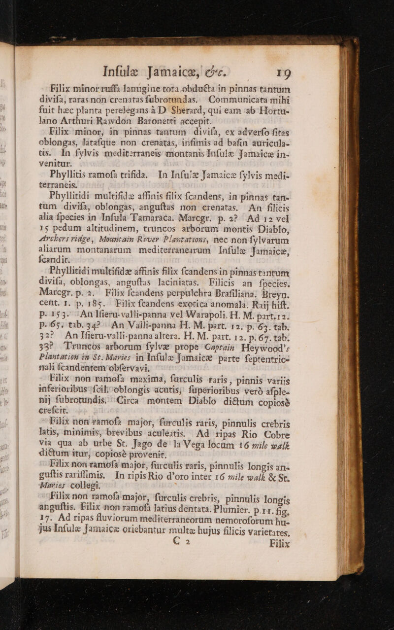 Filix minortuffa lanugine tota .obdulta in pinnas tantum divifa, rarasnon crenatas fubrotundas.. Communicata mihi fuit heec planta perelegansà D Sherard, qui eam «ab-Hotta- lano Arthuri Rawdon Baronetti accepit. Filix ‘minor, in pinnas tantum divifa, ex adverfo fitas oblongas, larafque non crenatas, infimis ad bafin auricula- tis. In fylvis mediterraneis' montanis Infule Jamaice in. venitur. Phyllitis ramofa trifida. In Infulae Jamaice fylvis medi terraneis. Phyllitidi multifide affinis filix fcandens, in pinnas tan. tum divifaà, oblongas, anguftas non crenatas. An fîlicis alia fpecies in Infula Tamaraca. Maregr. p. 2? Ad 12 vel 15 pedum altitudinem, truncos arborum montis Diablo, Archers ridge, Mountain River Plantations, nec nonfvivarum aliarum montanarum mediterranearum Infule Jamaice, fcandit. Phyllitidimultifide affinis filix fcandensin pinnastantum divifa, oblongas, anguftas laciniatas. Filicis an fpecies. Marcgr. p. 2. Filix fcandens perpulchra Brafiliana. Breyn. cent. 1. p. 185. Filix fcandens exotica anomala. Raij hift. p. 153. ;AnlIfieru-valli-panna vel Warapoli. H. M. part.12. p.65. tab. 34? An Vaili-panna H. M. part. 12. p. 63. tab. 322 AnlIfieru-valli-panna altera. H. M. part. 12. p.67. tab: 33? Truncos arborum fylvae prope Capraia Heywood?s Plantation in St. Martes in Infule Jamaica parte feptentrio» mali fcandentem'obfervavi. Filix non'ramofa maxima, furculis raris, pinnis variis inferioribus7fcilivoblongis avutis; fuperioribus verò afple- nij fubrotundis: Circa montem Diablo di&amp;um copiosè crefcit. — Filix non rantofa major, furculis raris, pinnulis crebris latis, minimis, brevibus aculeatis. Ad ripas Rio Cobre via qua ab urbe St. Jago de la Vega locum 16 mile walk di&amp;um itur, copiosè provenir. Filix non ramofa major, furculis raris, pinnulis longis an= guftis rariflimis. In ripisRio d’oro inter 16 mile walk &amp; St, Maries collegi. Filix non ramofa major, furculis crebris, pinnulis longis anguftis. Filix mon ramofa latius dentata. Plumier. p.rt. fig, 17. Ad ripas fluviorum mediterraneorim nemoroforum hi. jus Infule Jamaica oriebantur multe hujus filicis varietates, i 2 Filix Amb pree o risa Sinaie r ciucuzn “ano ARESE RC ei 438 pe + pn Sarai