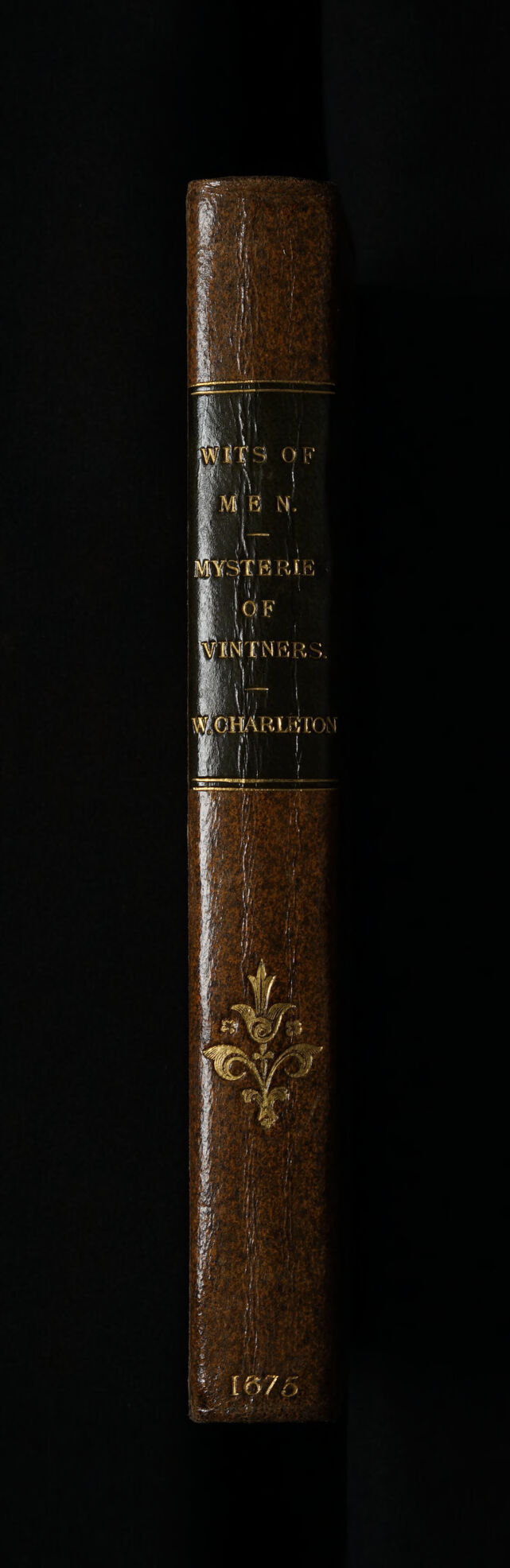 No text description is available for this image