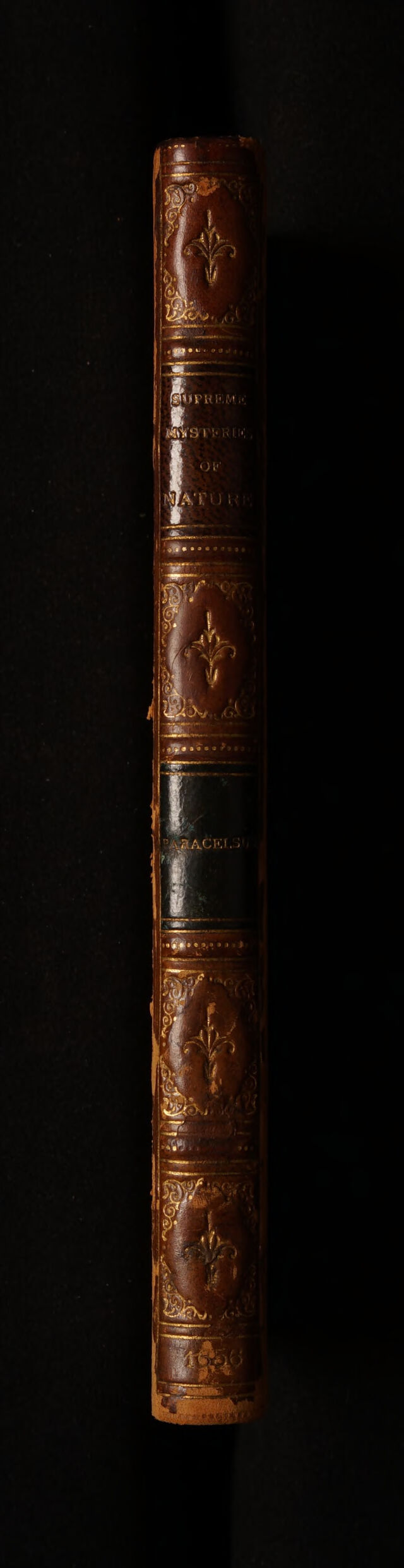 No text description is available for this image