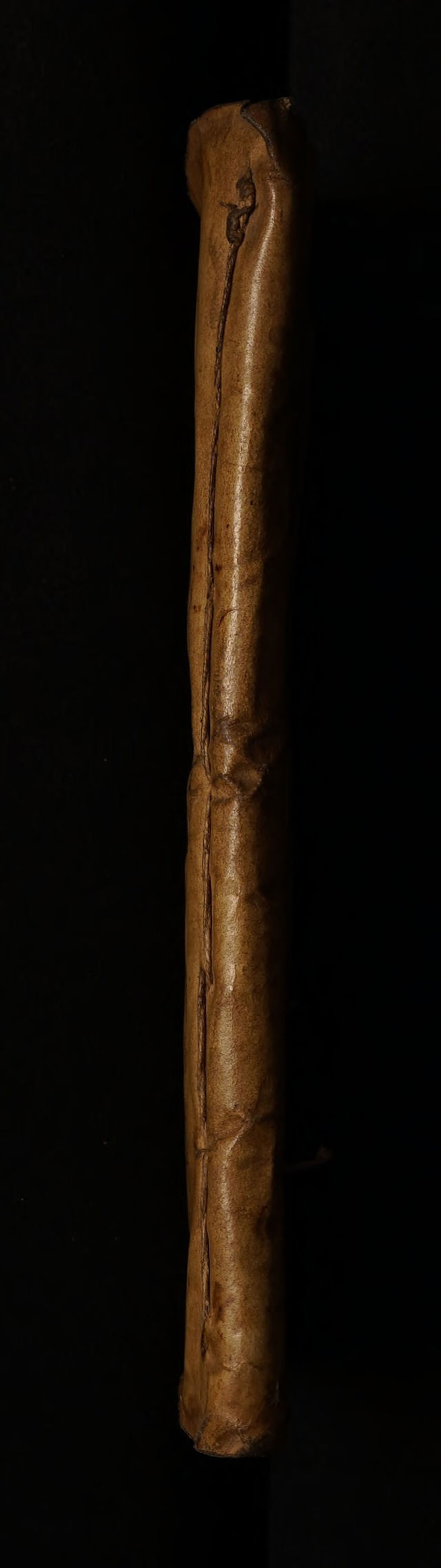 No text description is available for this image