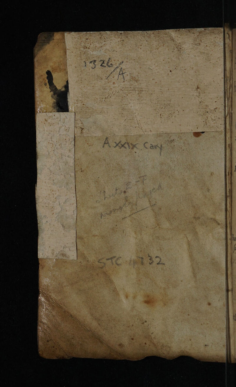 No text description is available for this image