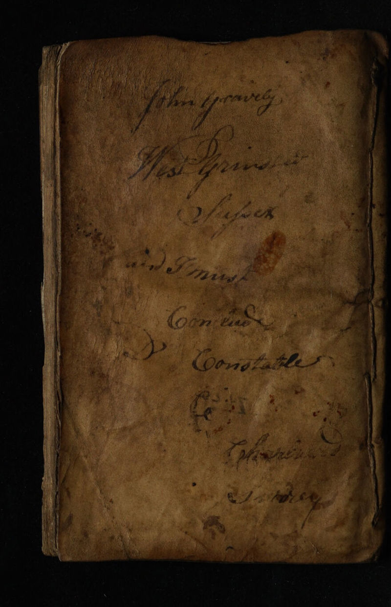 No text description is available for this image