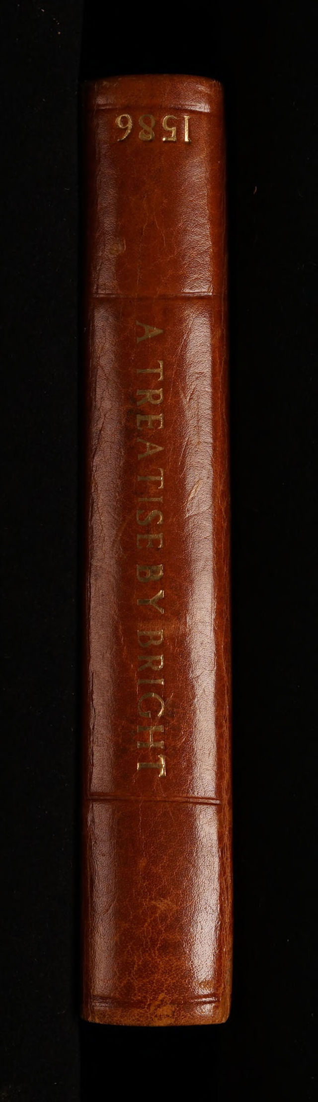 No text description is available for this image