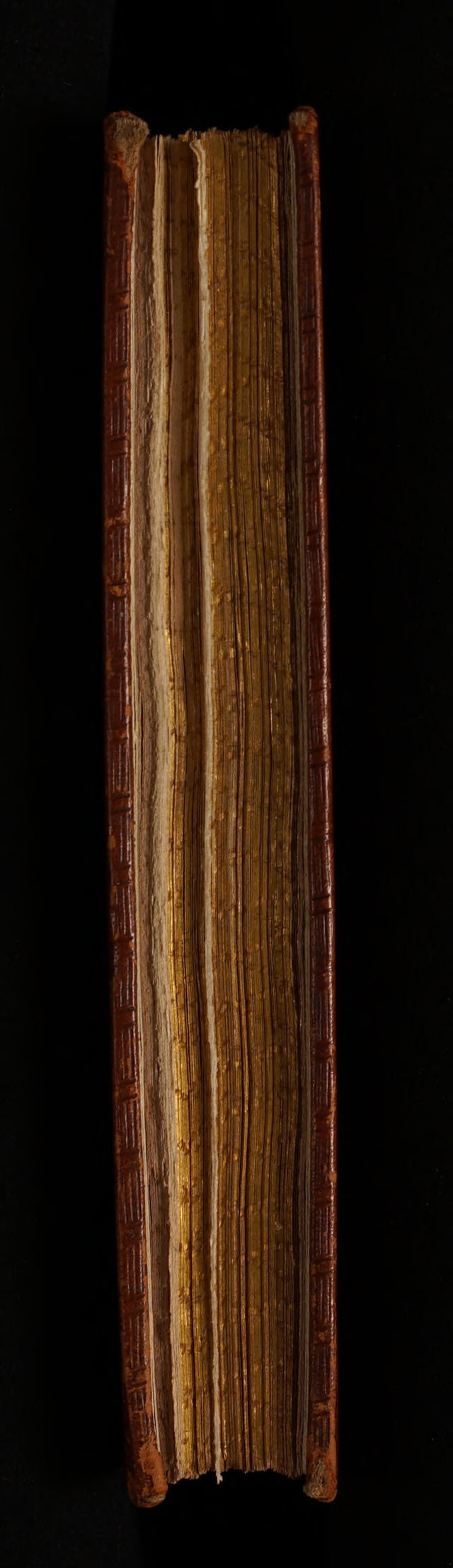 No text description is available for this image