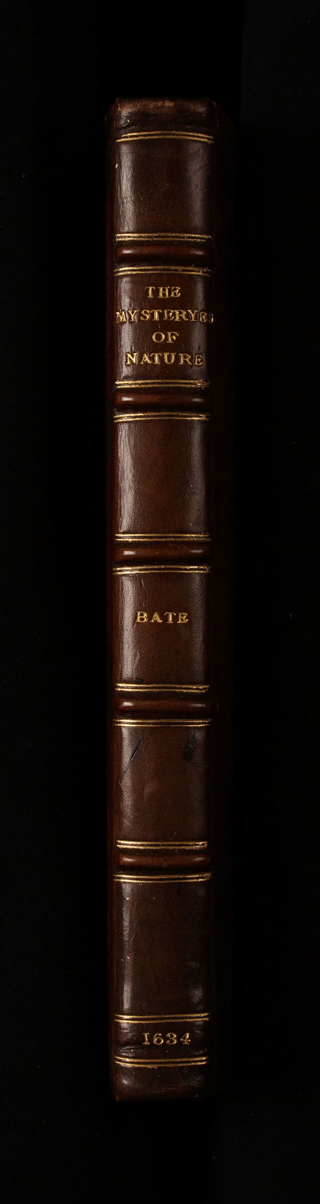 digitised image 2