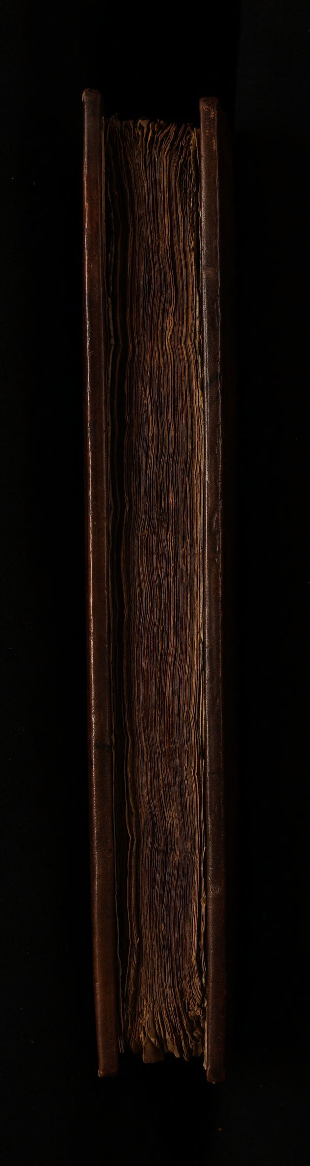 digitised image 3