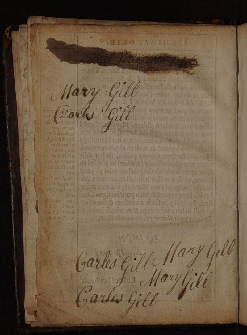 No text description is available for this image