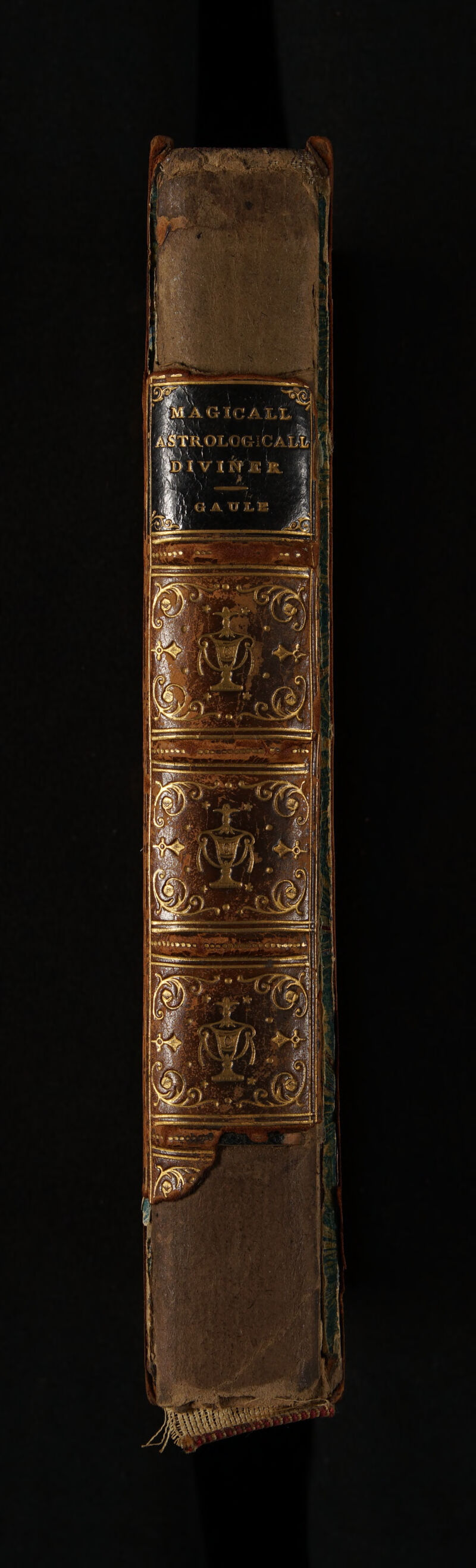 No text description is available for this image