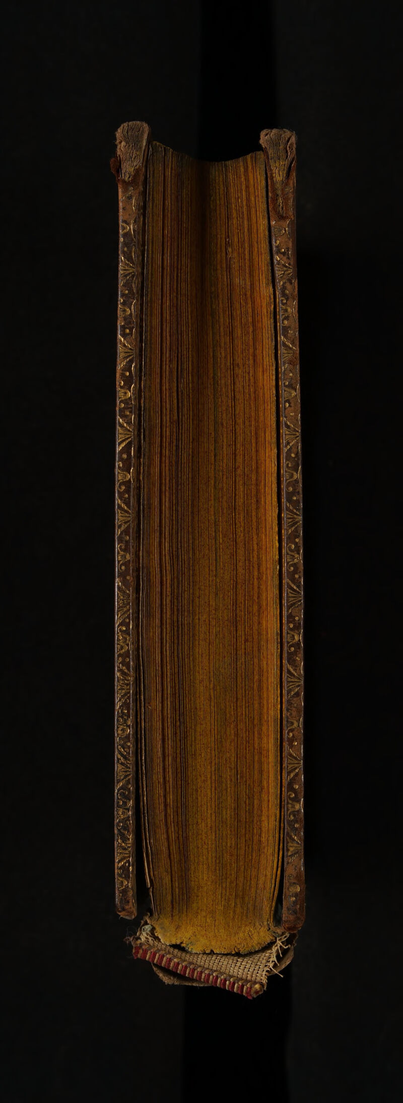 No text description is available for this image